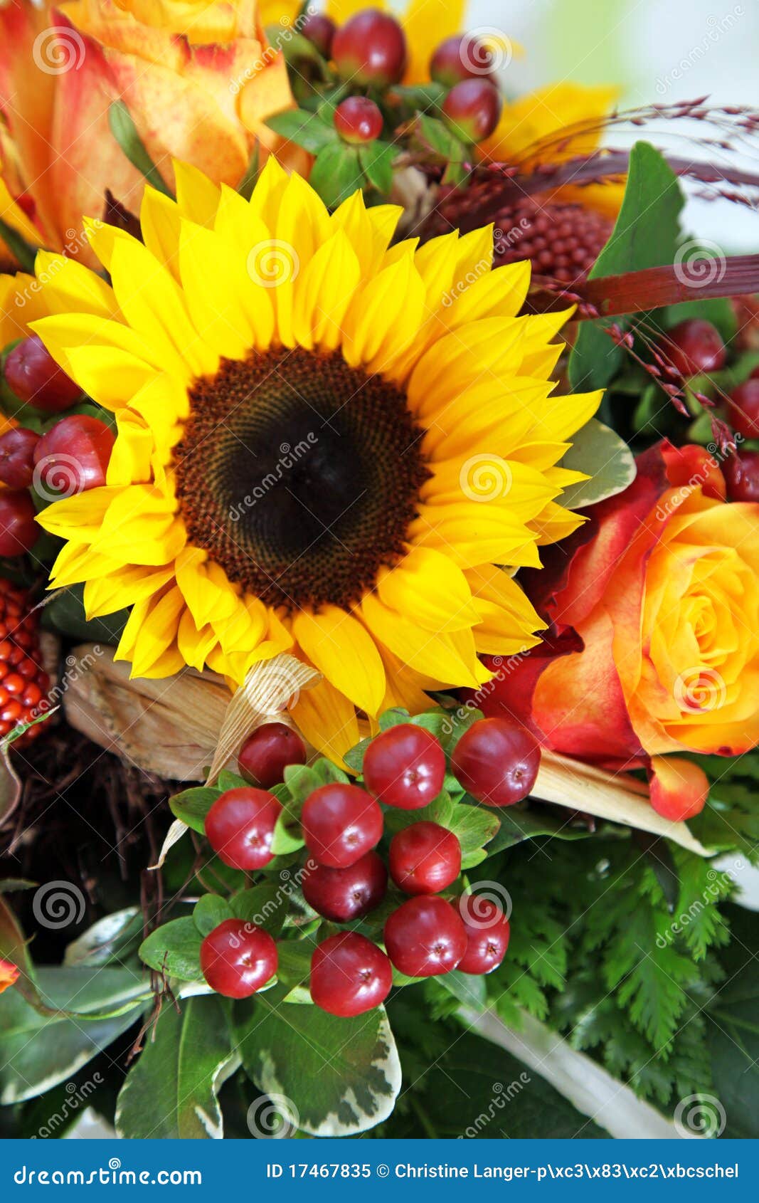 Roses Sunflowers Images Browse 43010 Stock Photos  Vectors Free Download  with Trial  Shutterstock