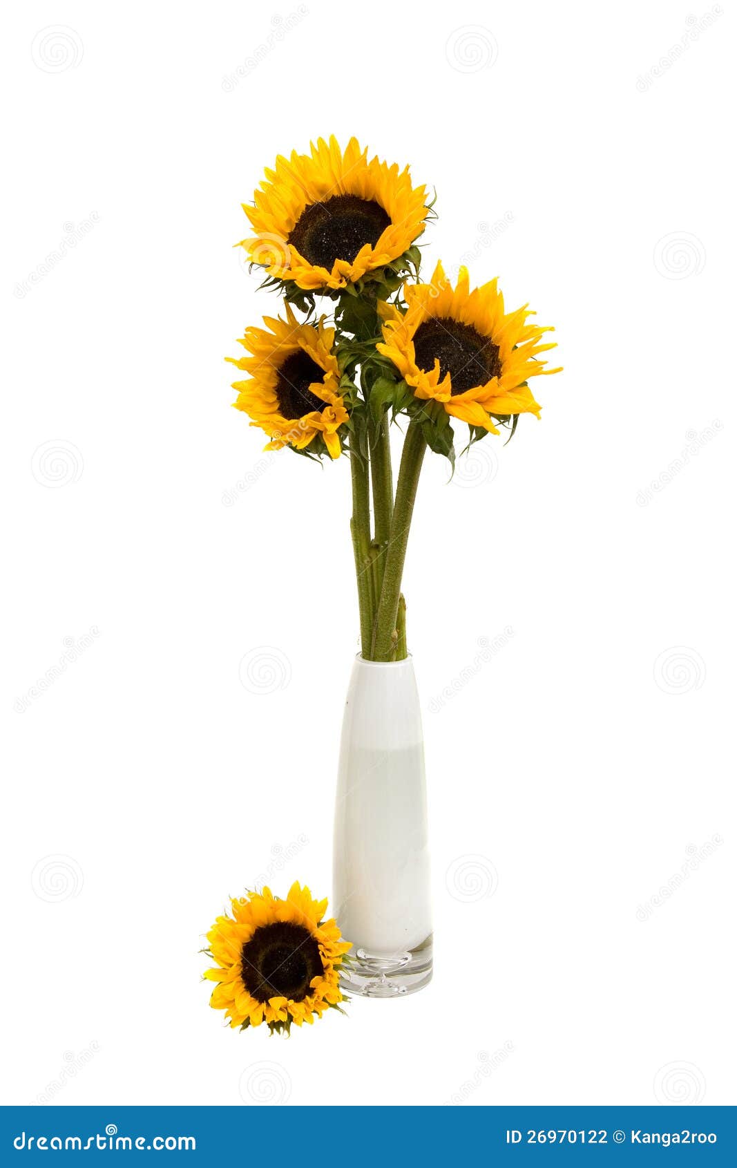 Sunflower Bouquet in White Vase Stock Photo Image of decoration