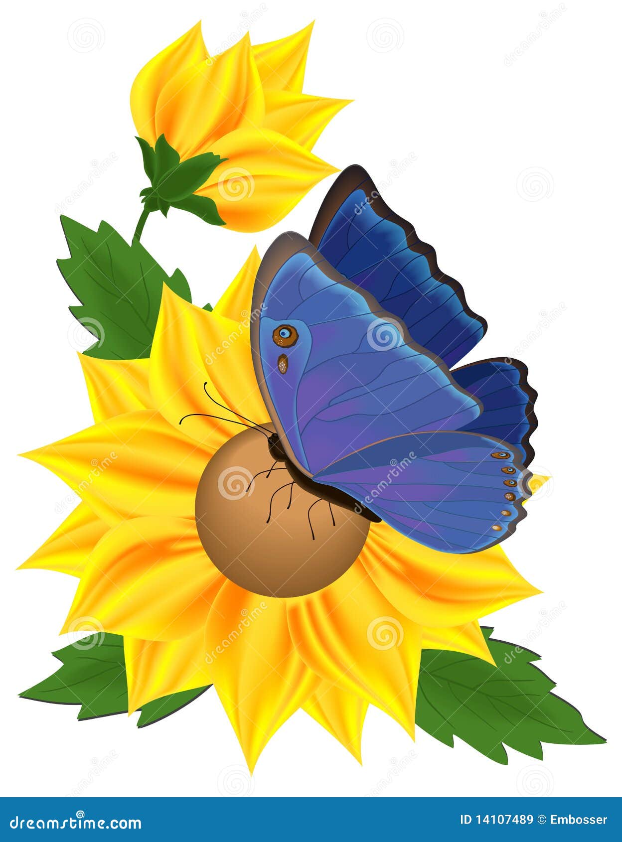 Free Free 234 Clip Art Free Butterfly Sunflower Butterfly Svg SVG PNG EPS DXF File