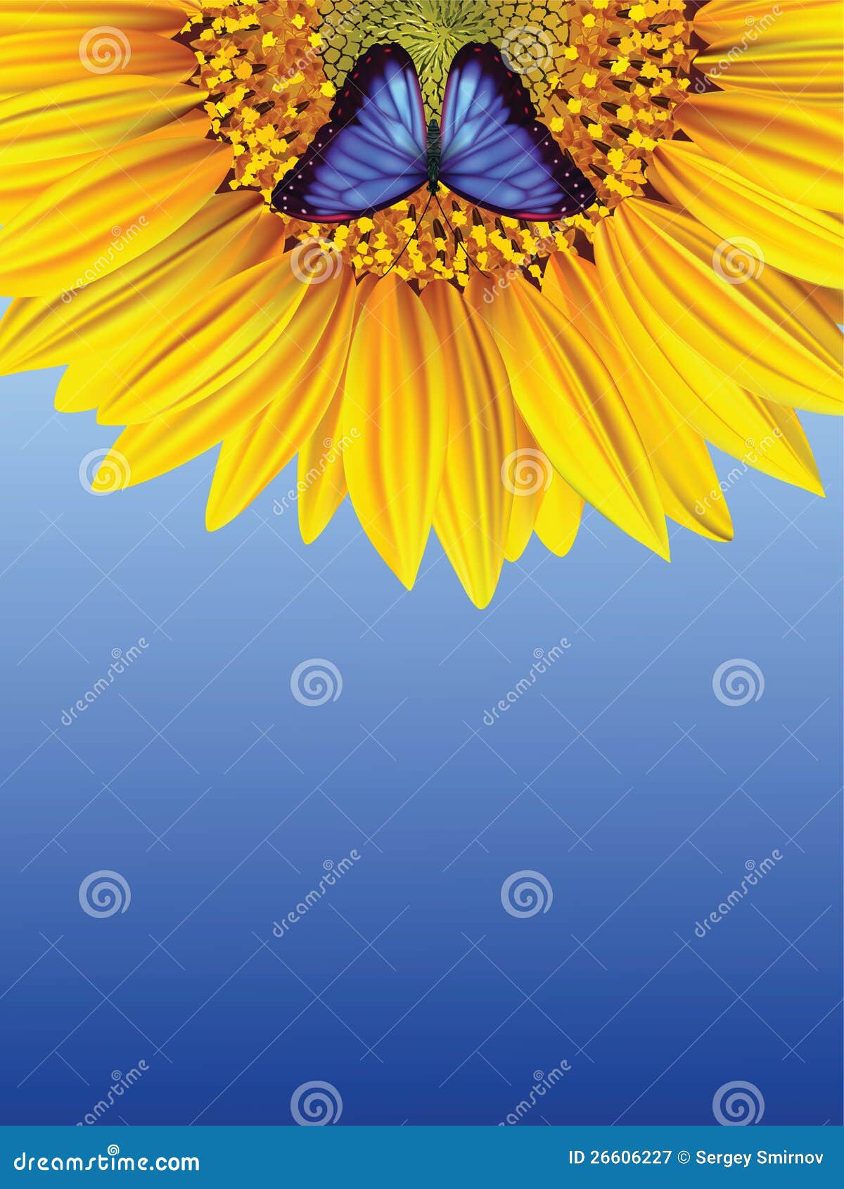 Sunflower and butterfly stock illustration. Illustration of color