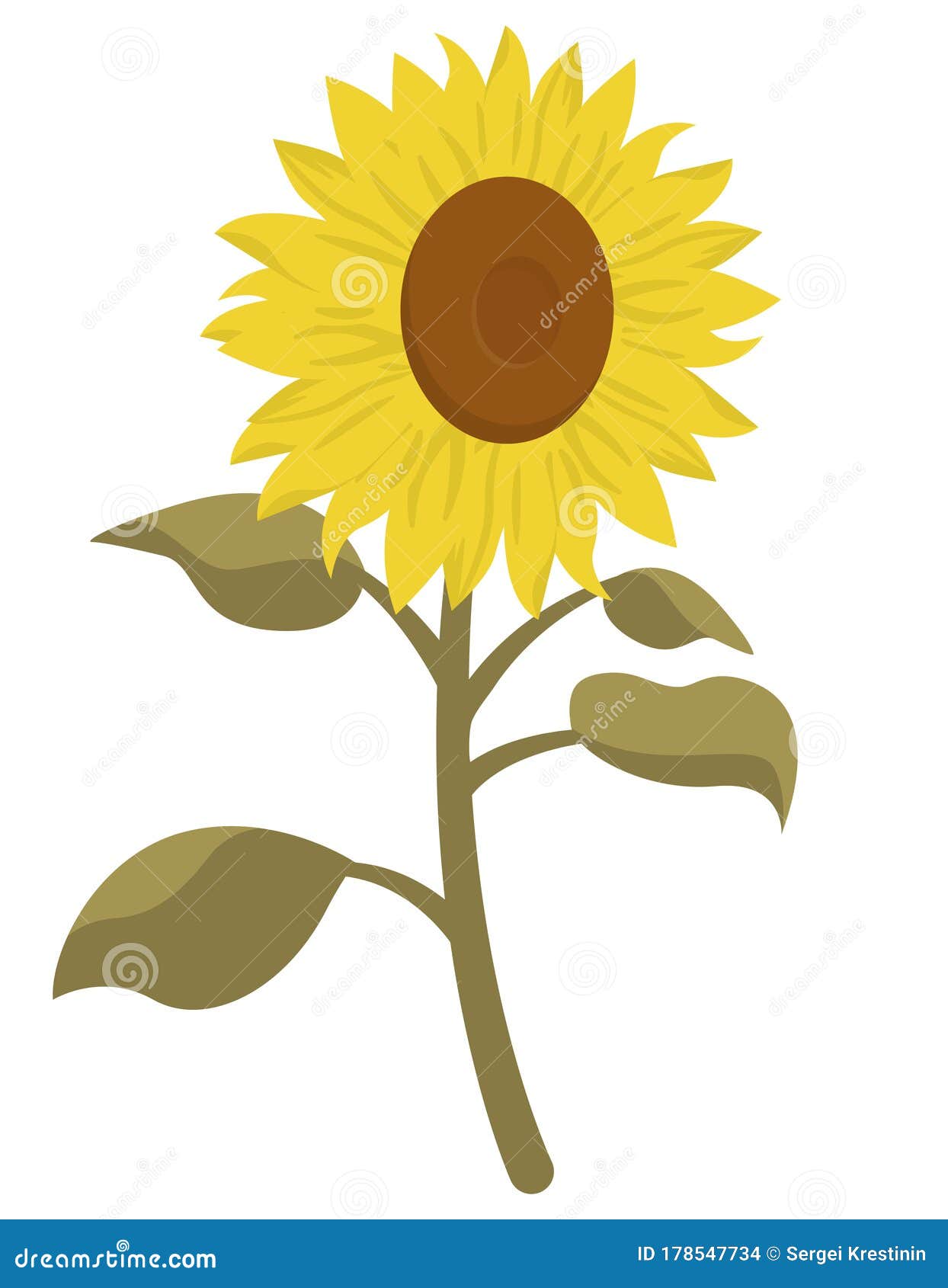 Sunflower in Cartoon Style. Stock Vector - Illustration of icon, colourful:  178547734