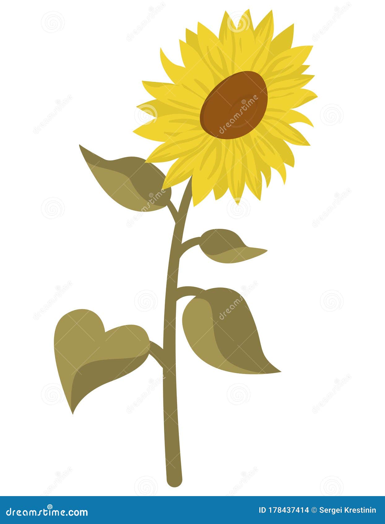 Sunflower in Cartoon Style. Stock Vector - Illustration of drawing, collection: 178437414 Sunflower in Cartoon Style. Stock Vector - Illustration of drawing, collection: 178437414