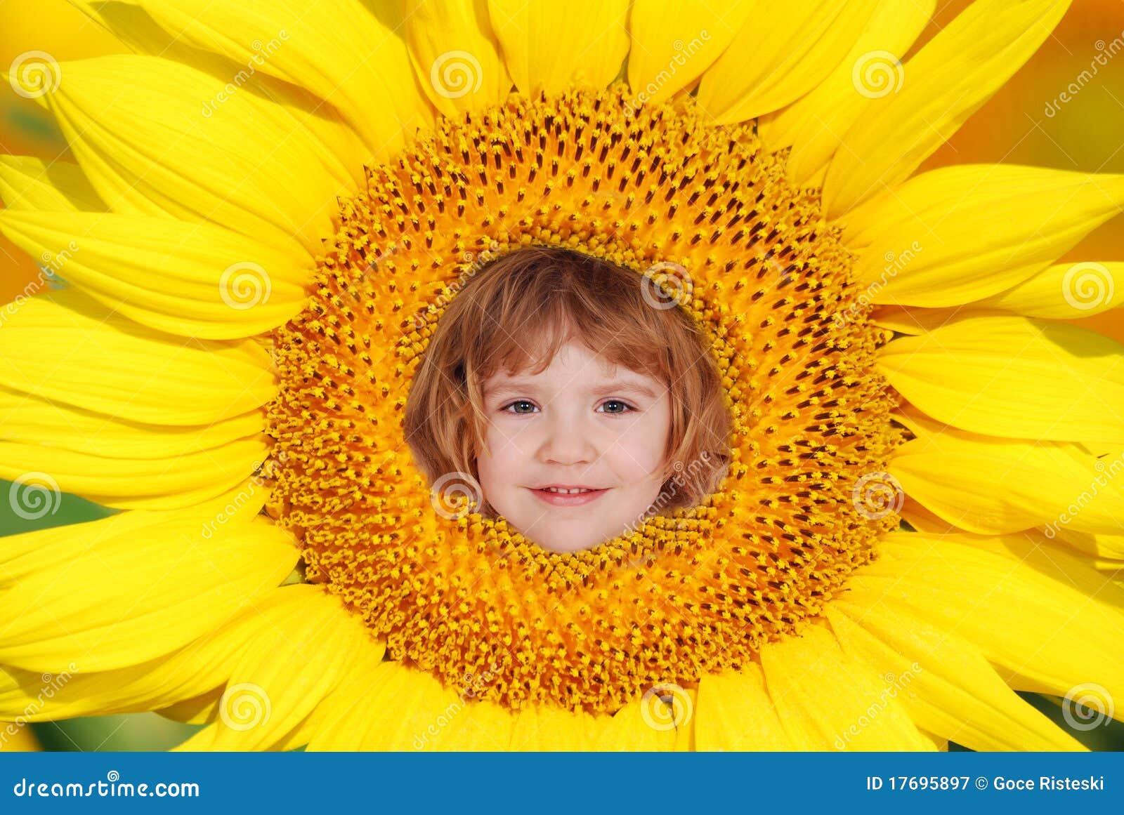 Sunflower Child Royalty Free Stock Photography Image 17695897