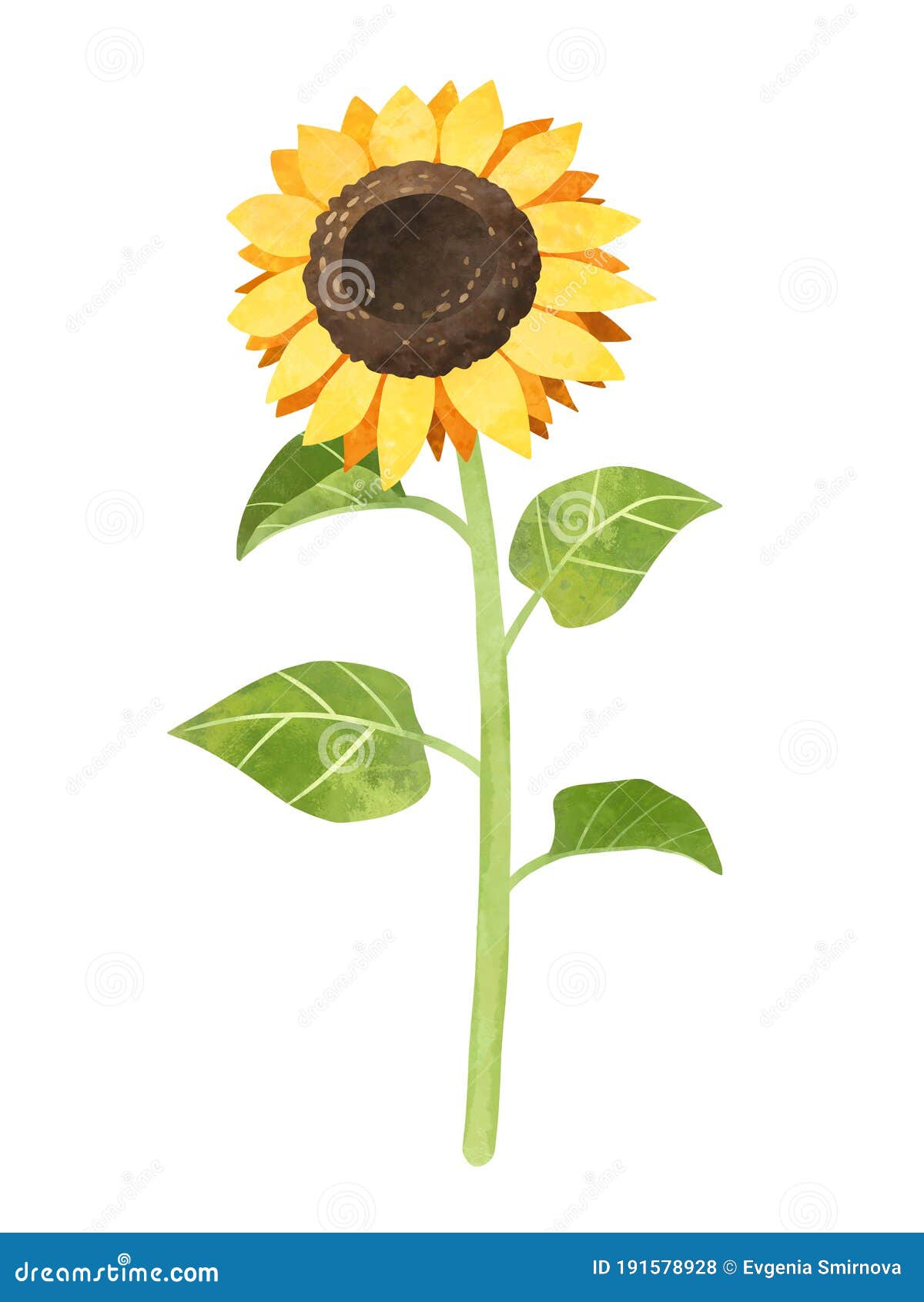 Free Free 258 Clipart Sunflower Jpg SVG PNG EPS DXF File