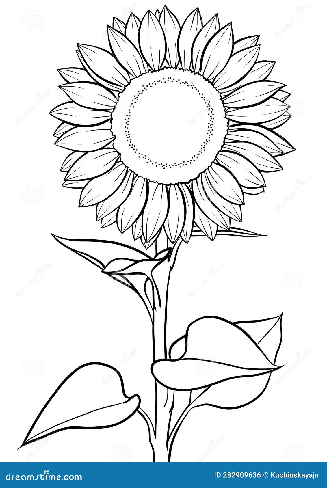 Sunflower Seed Coloring Pages