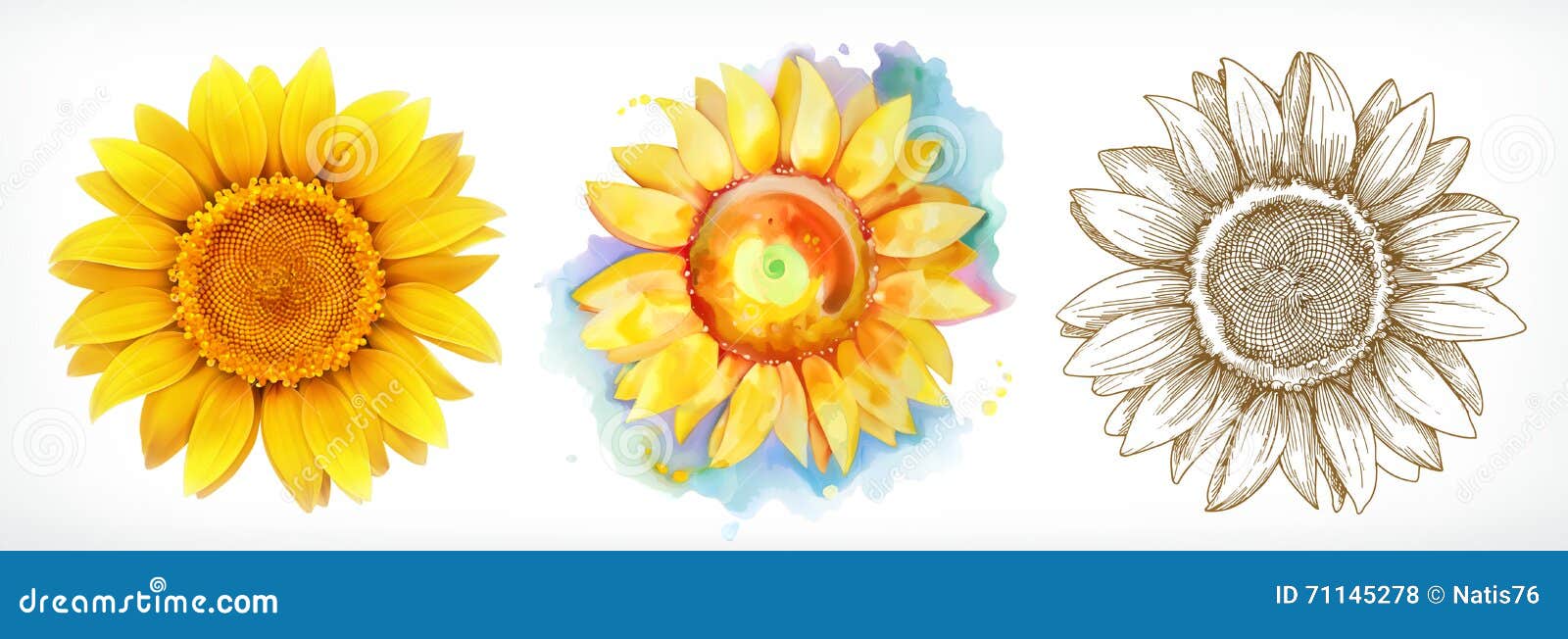 sunflower, different styles,  drawing, icon set