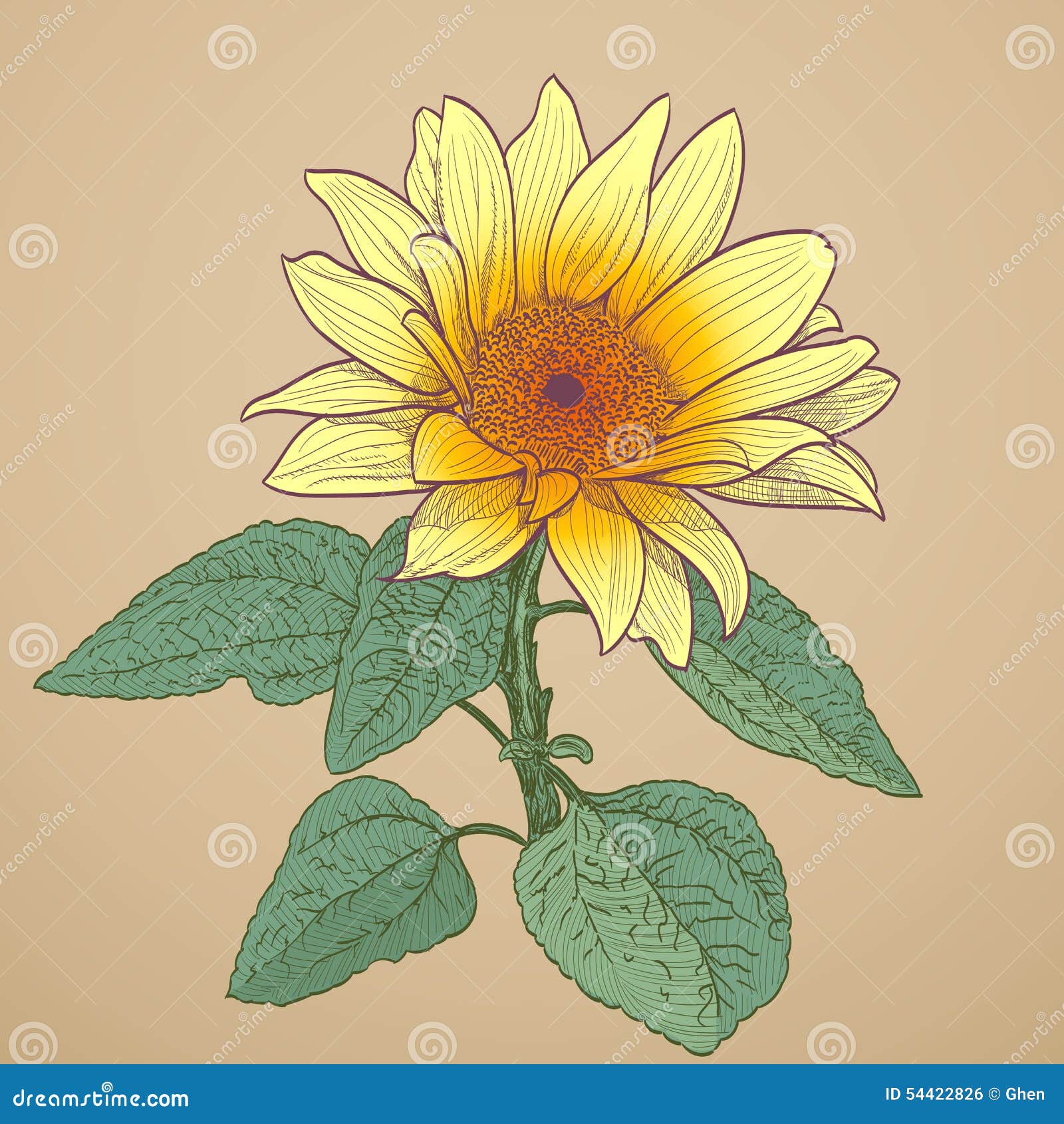 How to Draw Sunflower | Nil Tech - shop.nil-tech