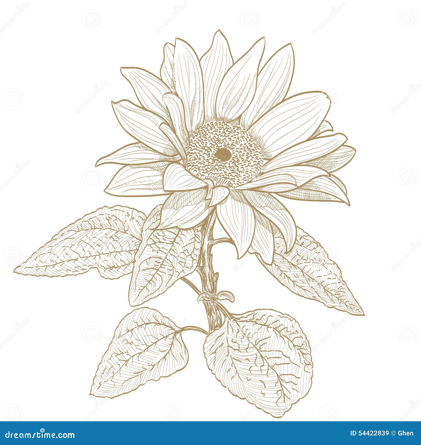 Sunflower Drawing Stencil Sunflower Tattoo Outline Drawings Stencil