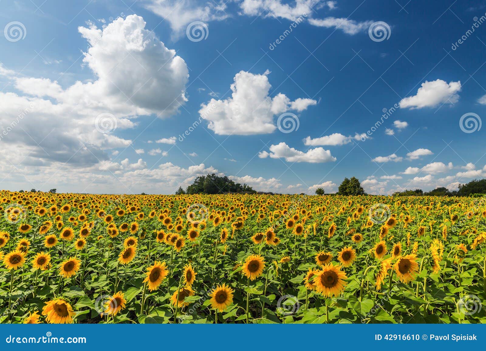 minecraft scenery sunflower minecraft scenery sunflower