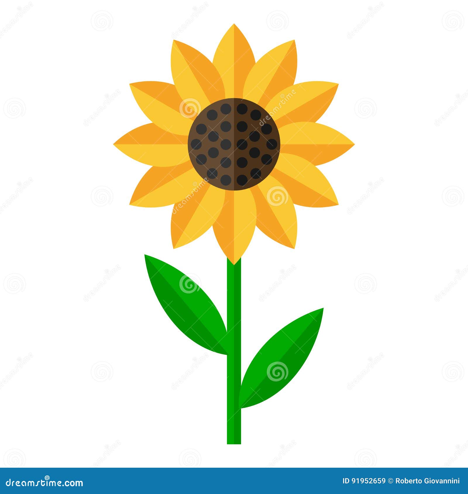 sunflower flat icon  on white