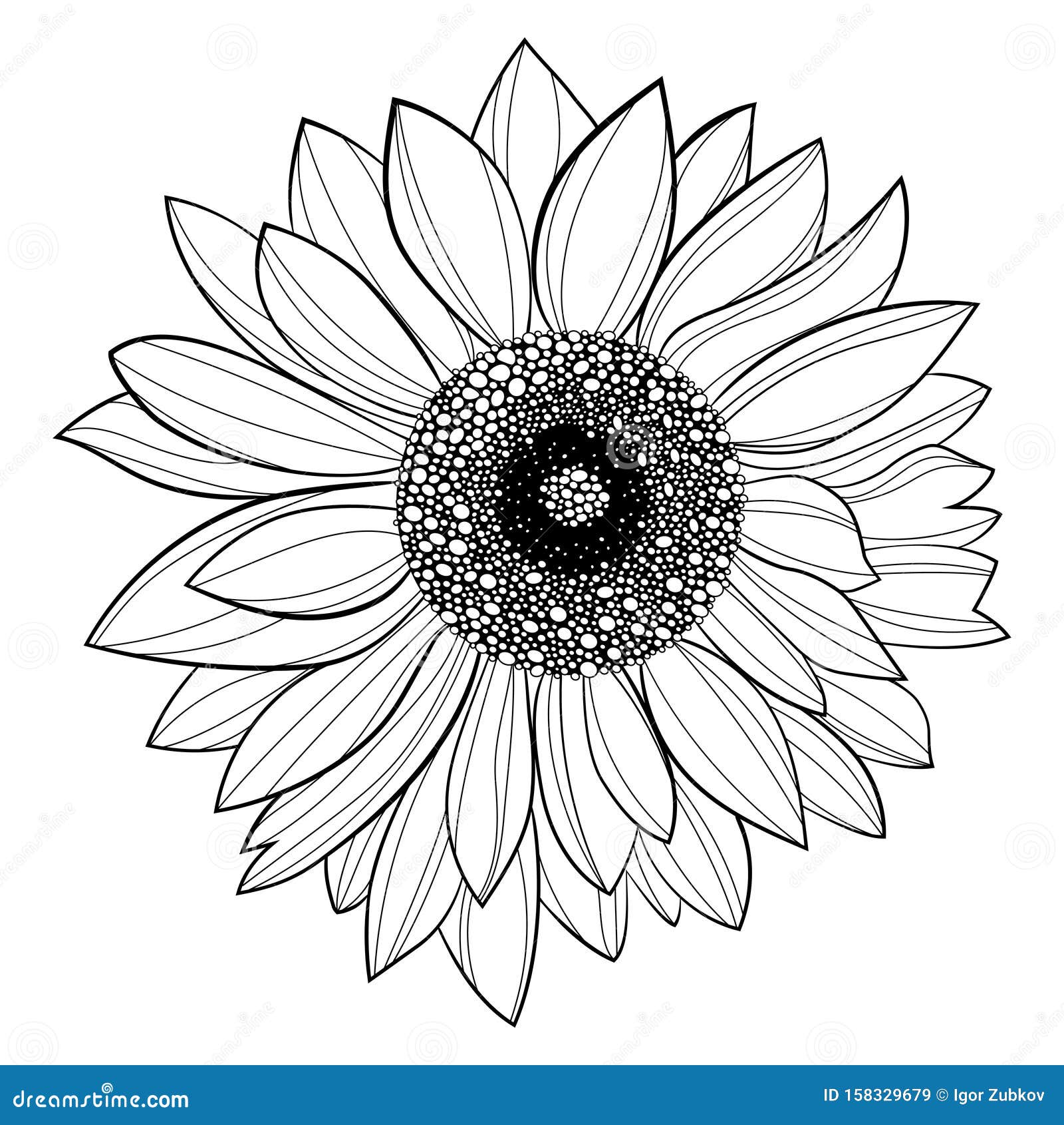 Sunflower Flower Tattoo Body Art Stencils c2  Kaz Creations