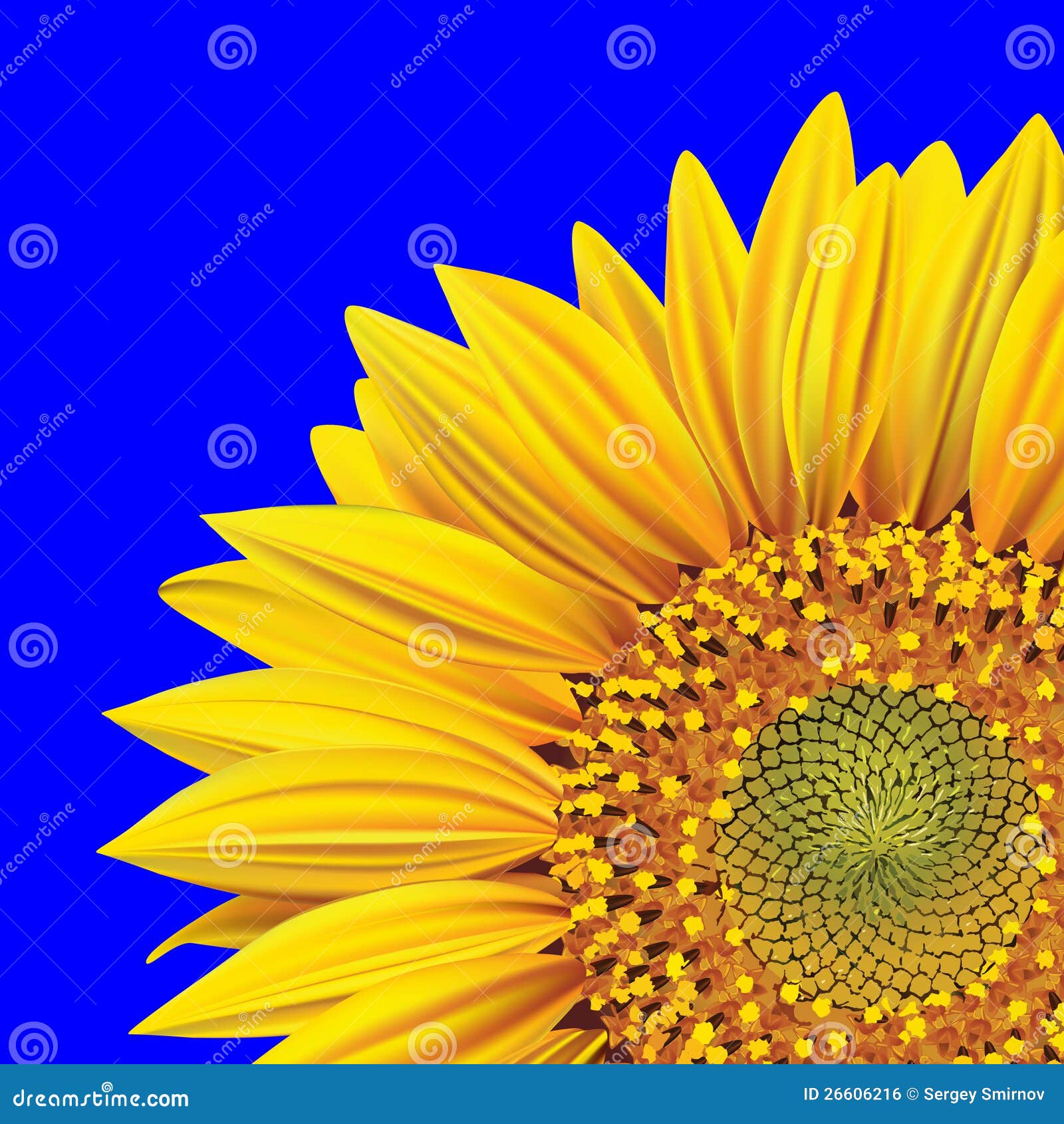 Sunflower Flower on a Blue Background Stock Illustration Illustration of blossom, colorful