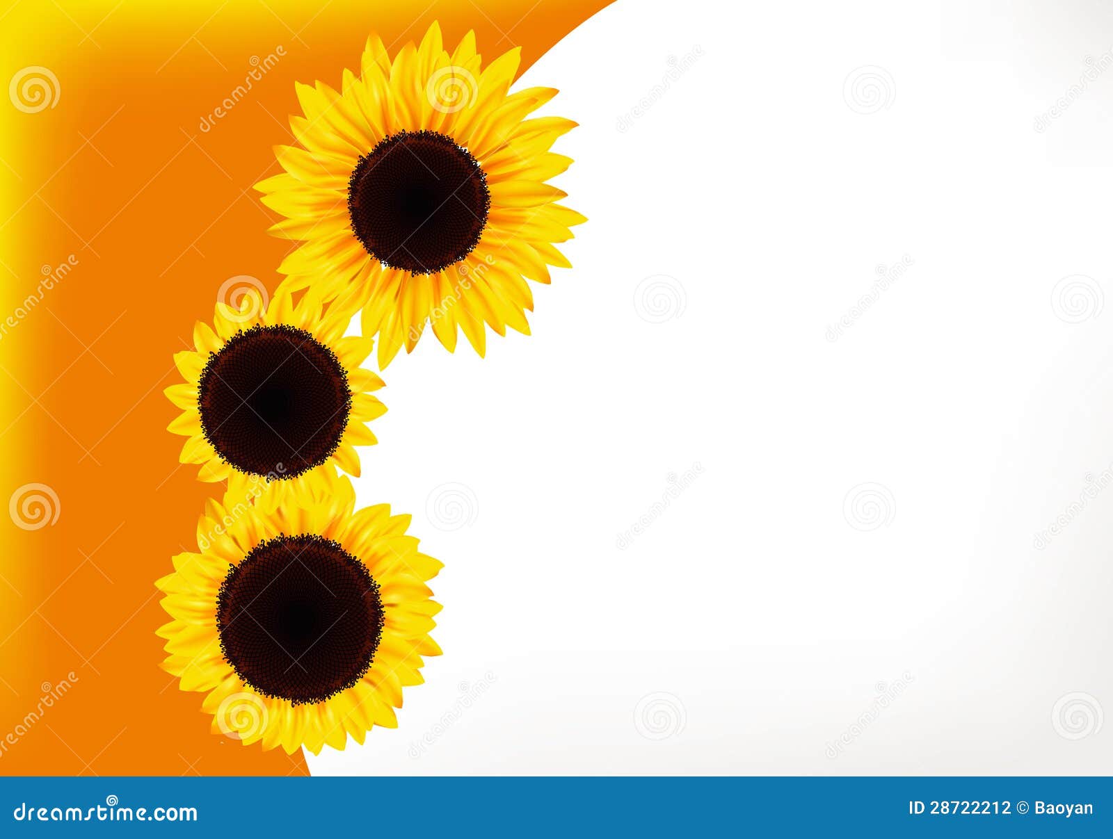 Sunflower gift card stock vector. Illustration of colorful 28722212