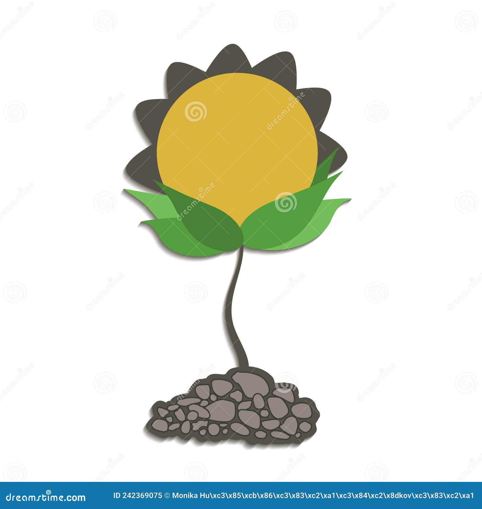 Sunflower Growing Process Vector Illustration Flat Design. Planting Process Of Sunflowers