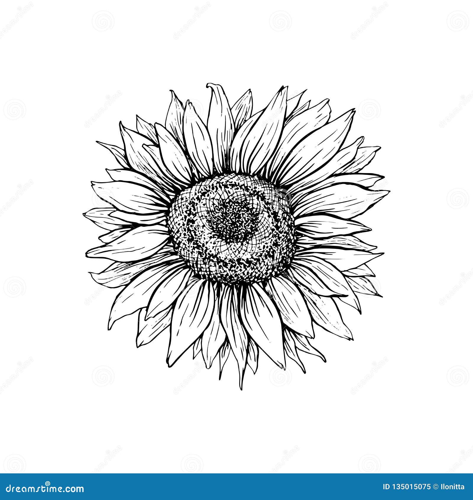 Free Free 230 Sunflower Clipart Black And White Svg SVG PNG EPS DXF File