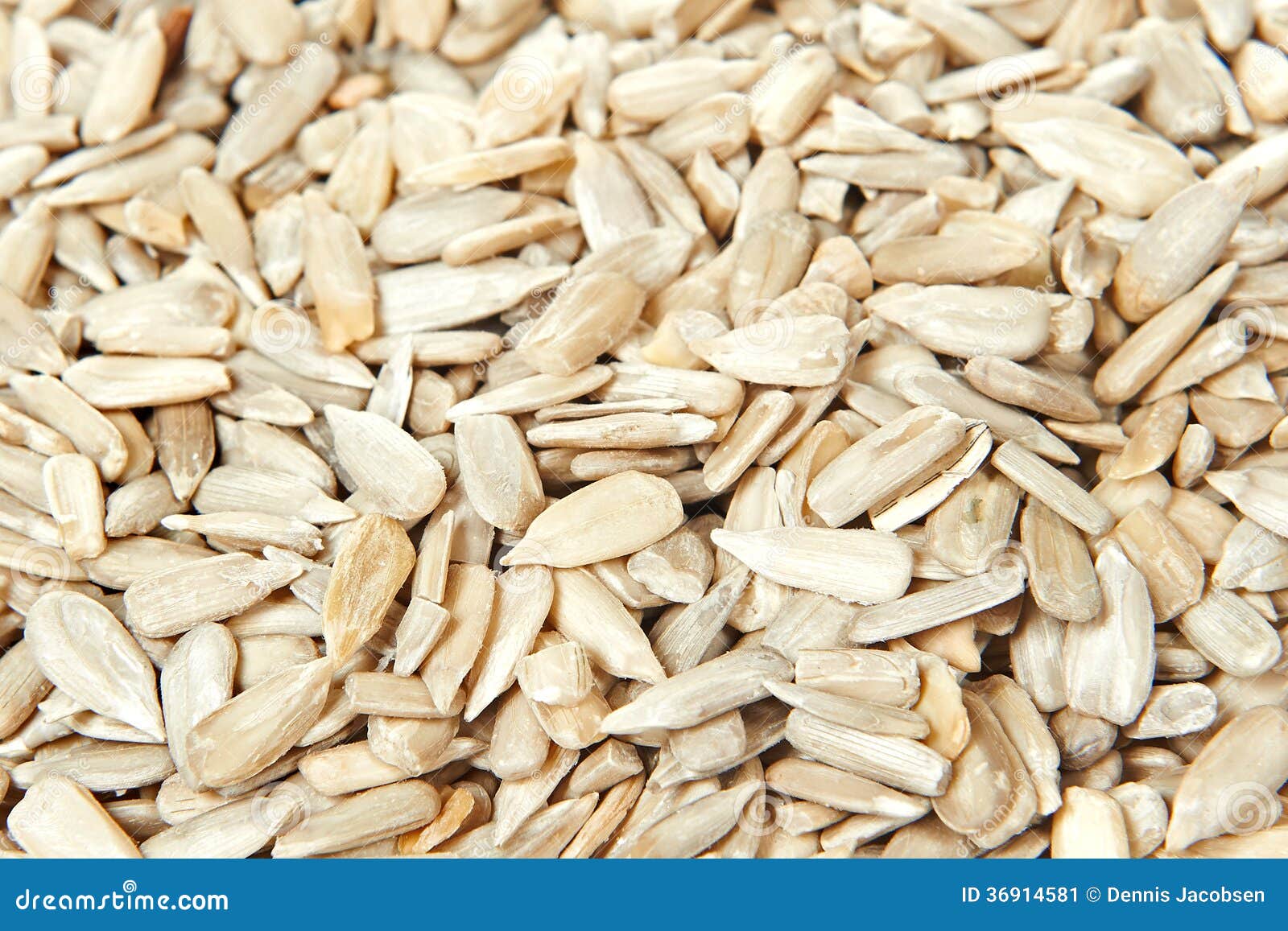 Sunflower kernel stock image. Image of nutrition, bakery 36914581