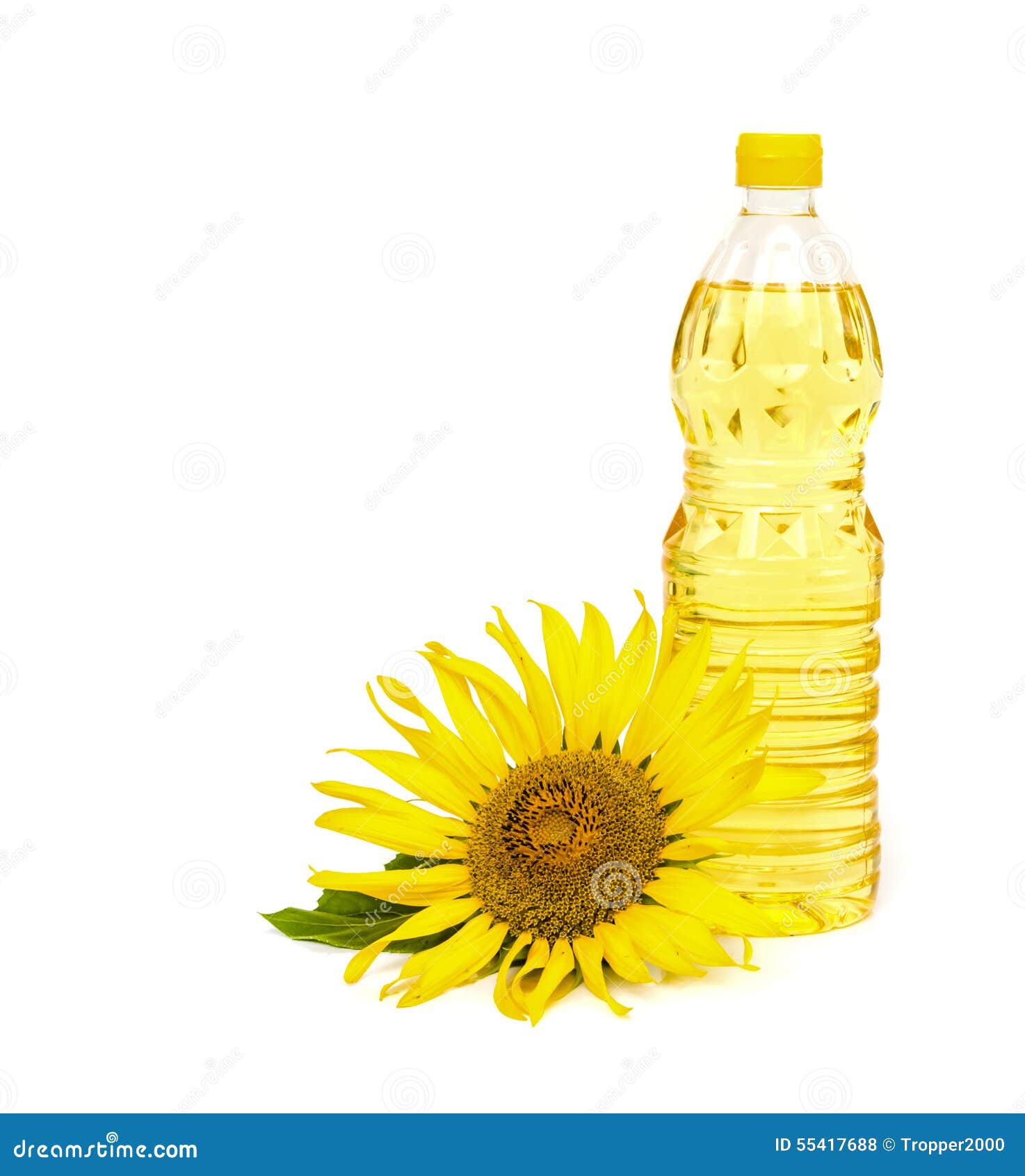 Sunflower oil. stock photo. Image of nutrient, gold, organic - 55417688