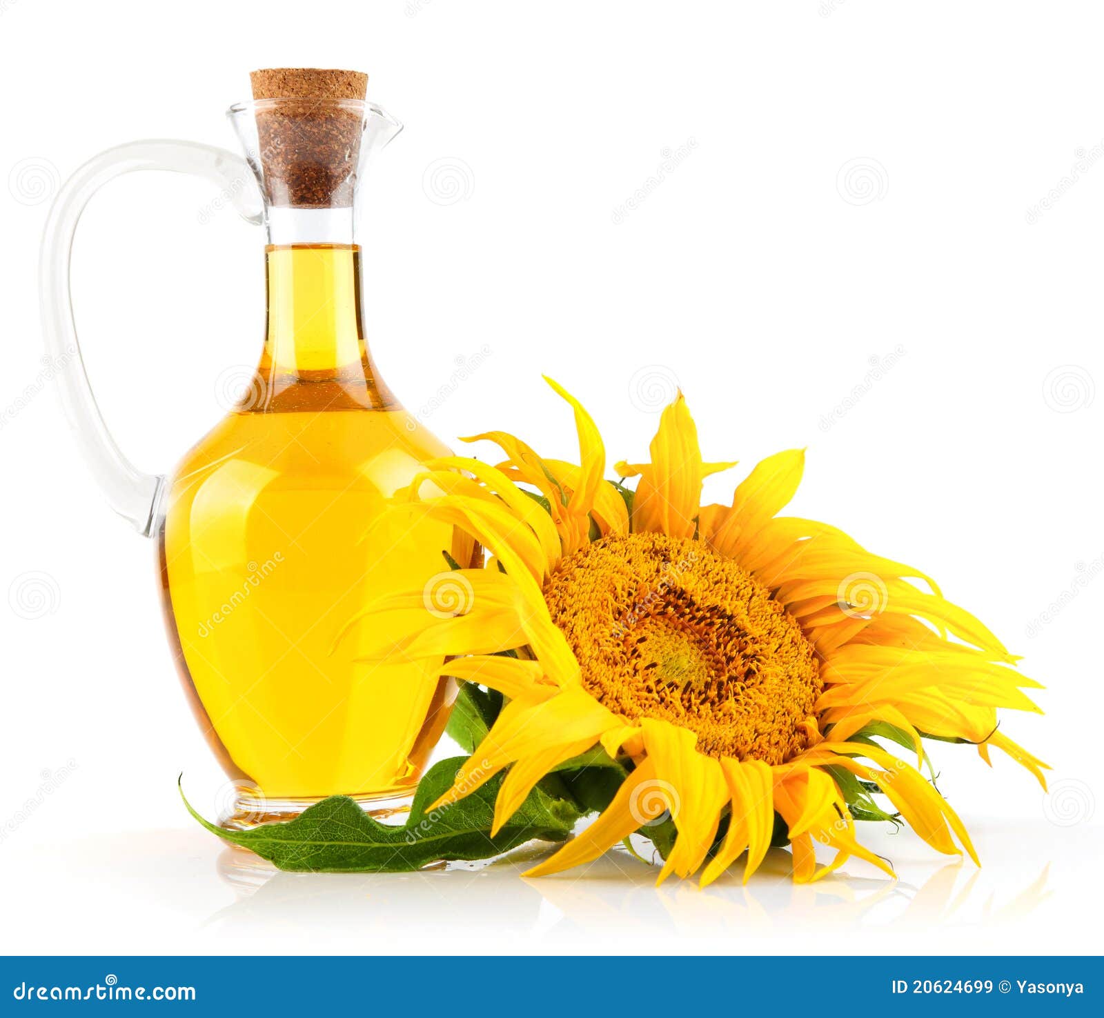 Sunflower oil with flower stock image. Image of single 20624699
