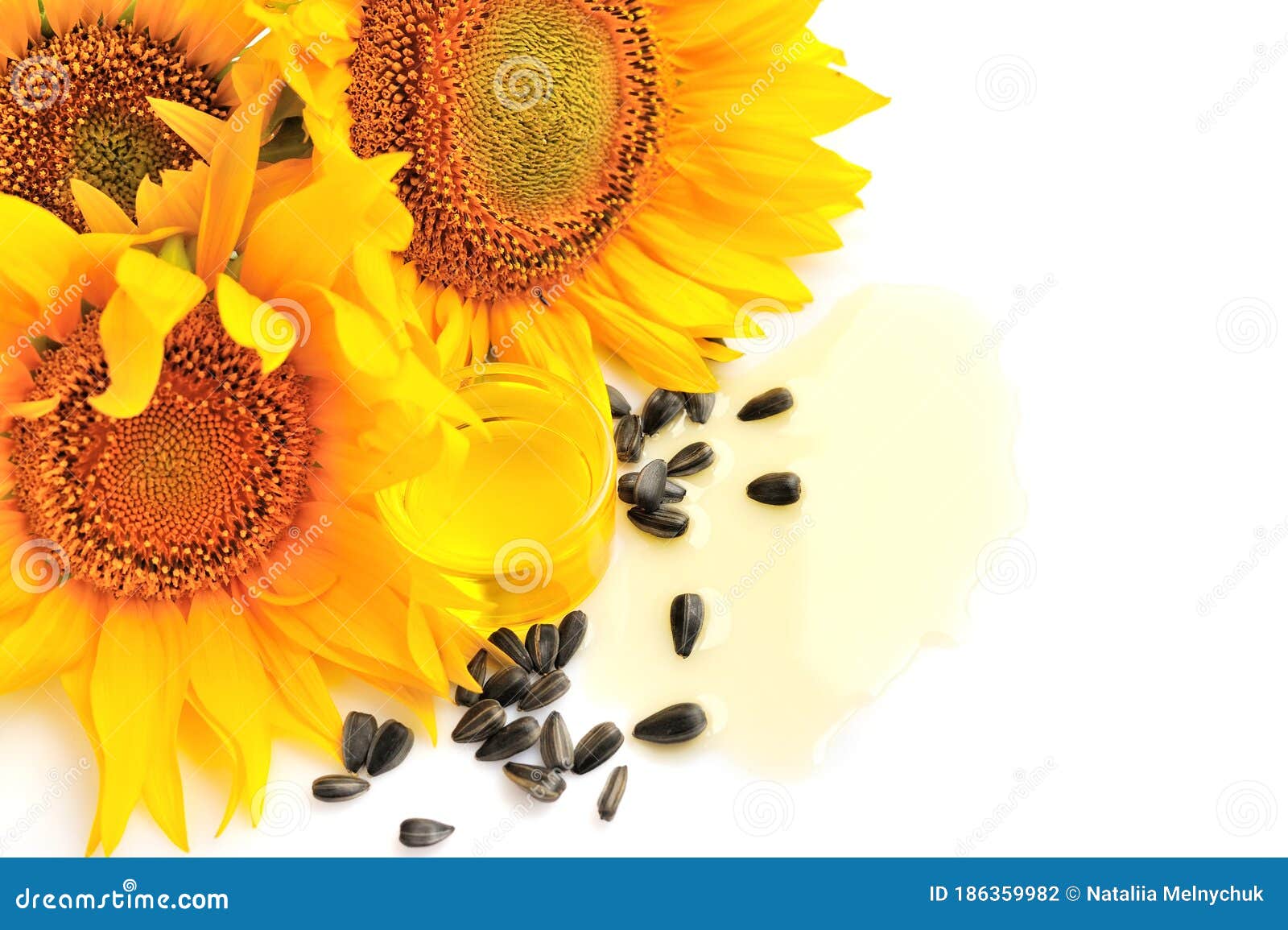 Sunflower Oil with Flowers and by Seed on White Background Stock Photo ...