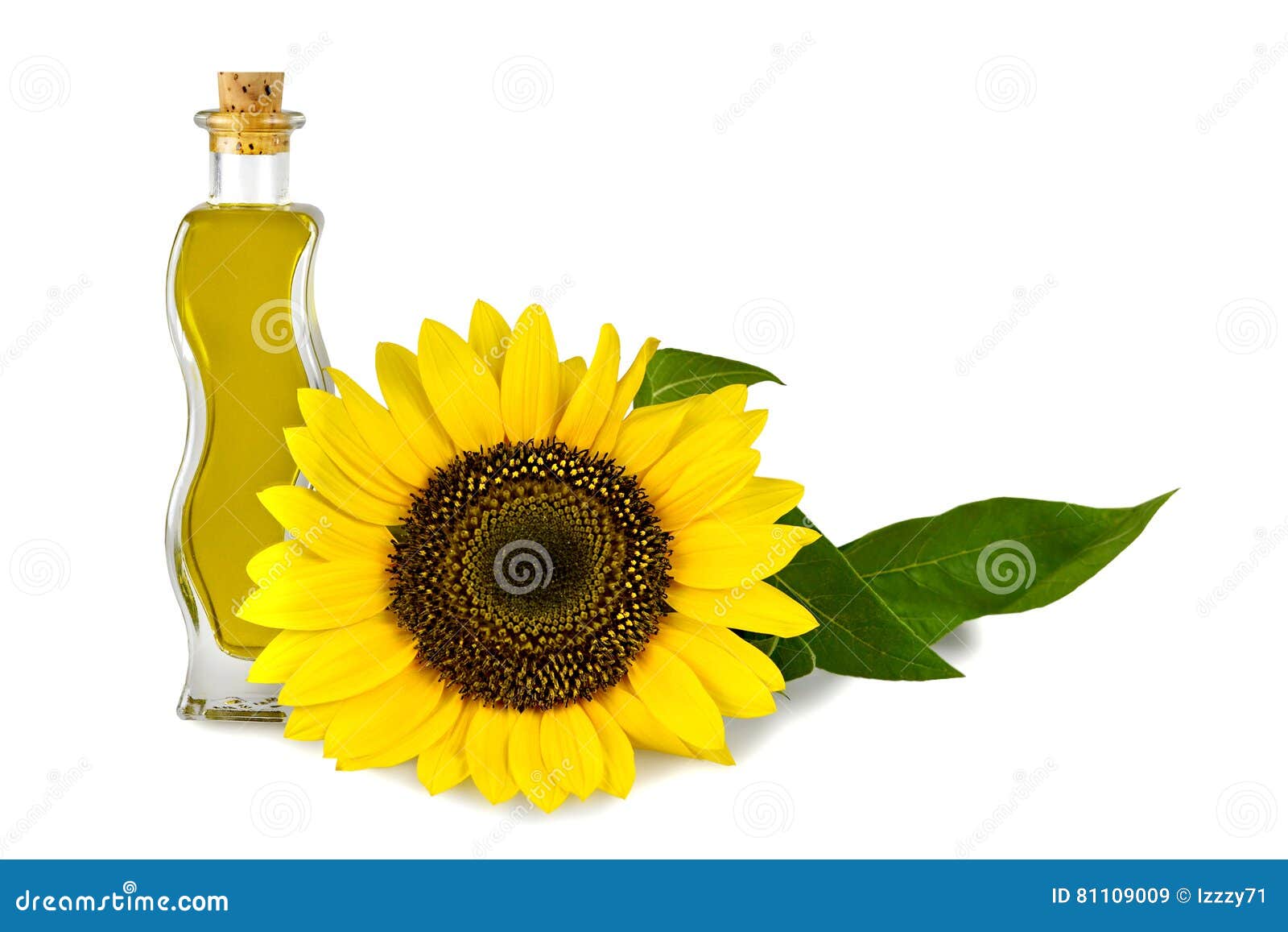 Sunflower oil stock image. Image of plant, garnish, vegetarian 81109009