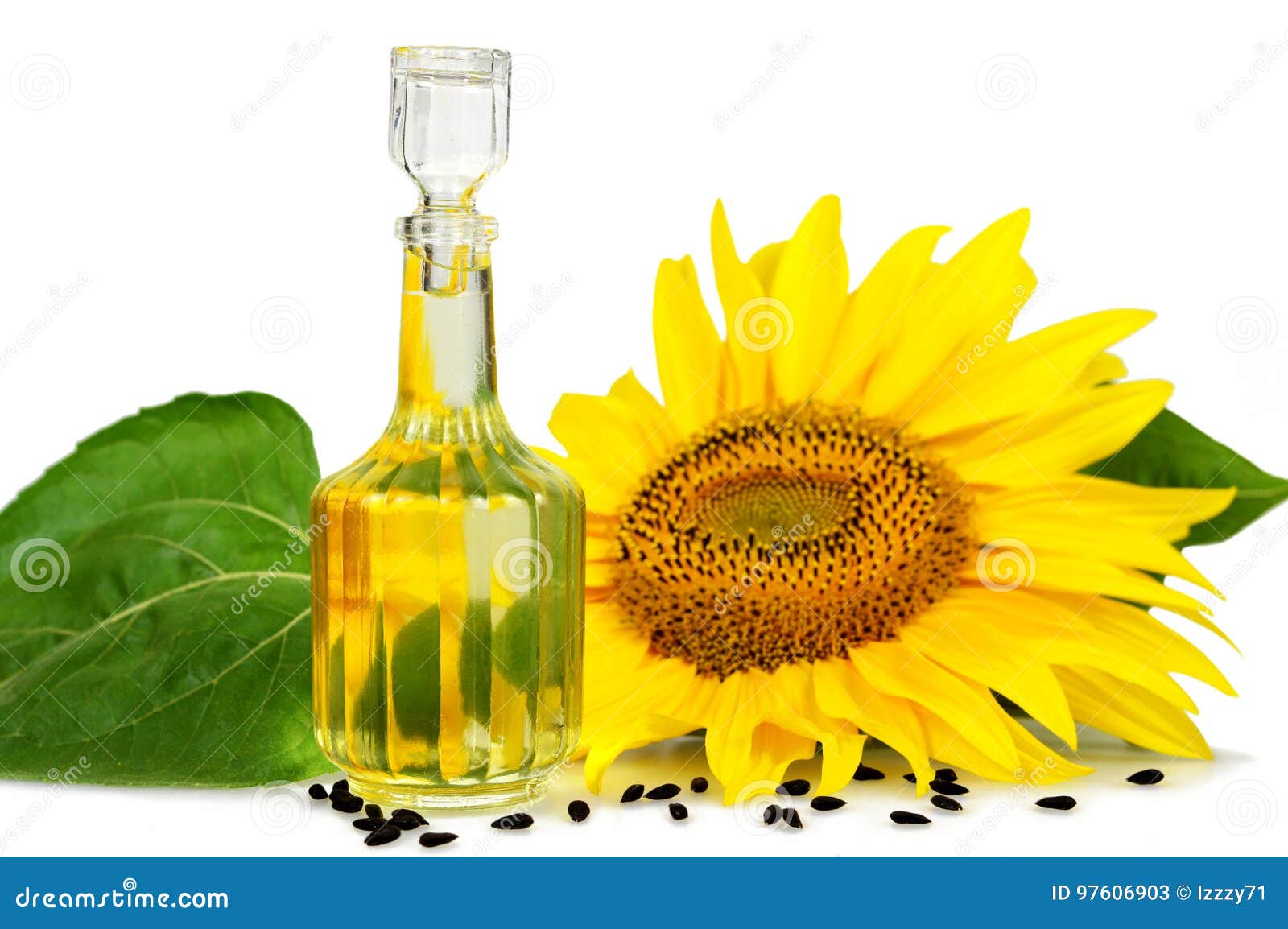 Sunflower Oil and Sunflower Isolated on White Stock Image Image of