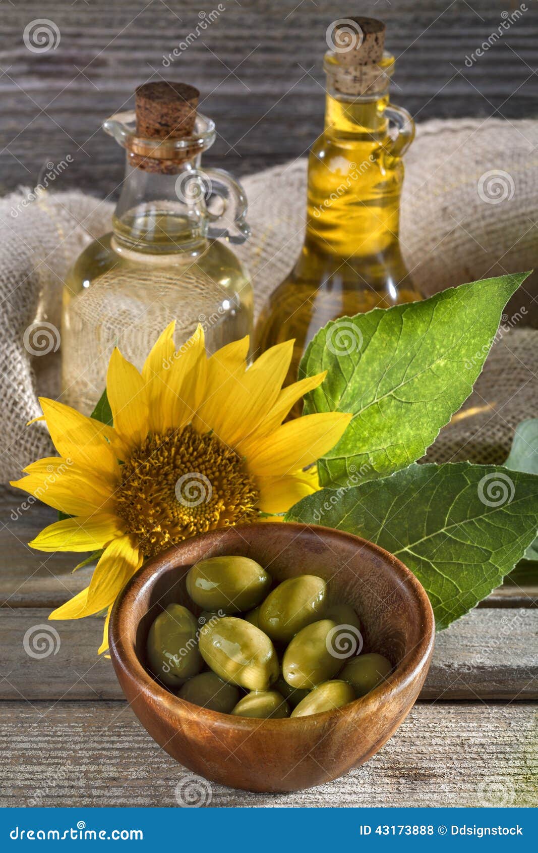 Sunflower and olive oil stock photo. Image of glass, leaf 43173888