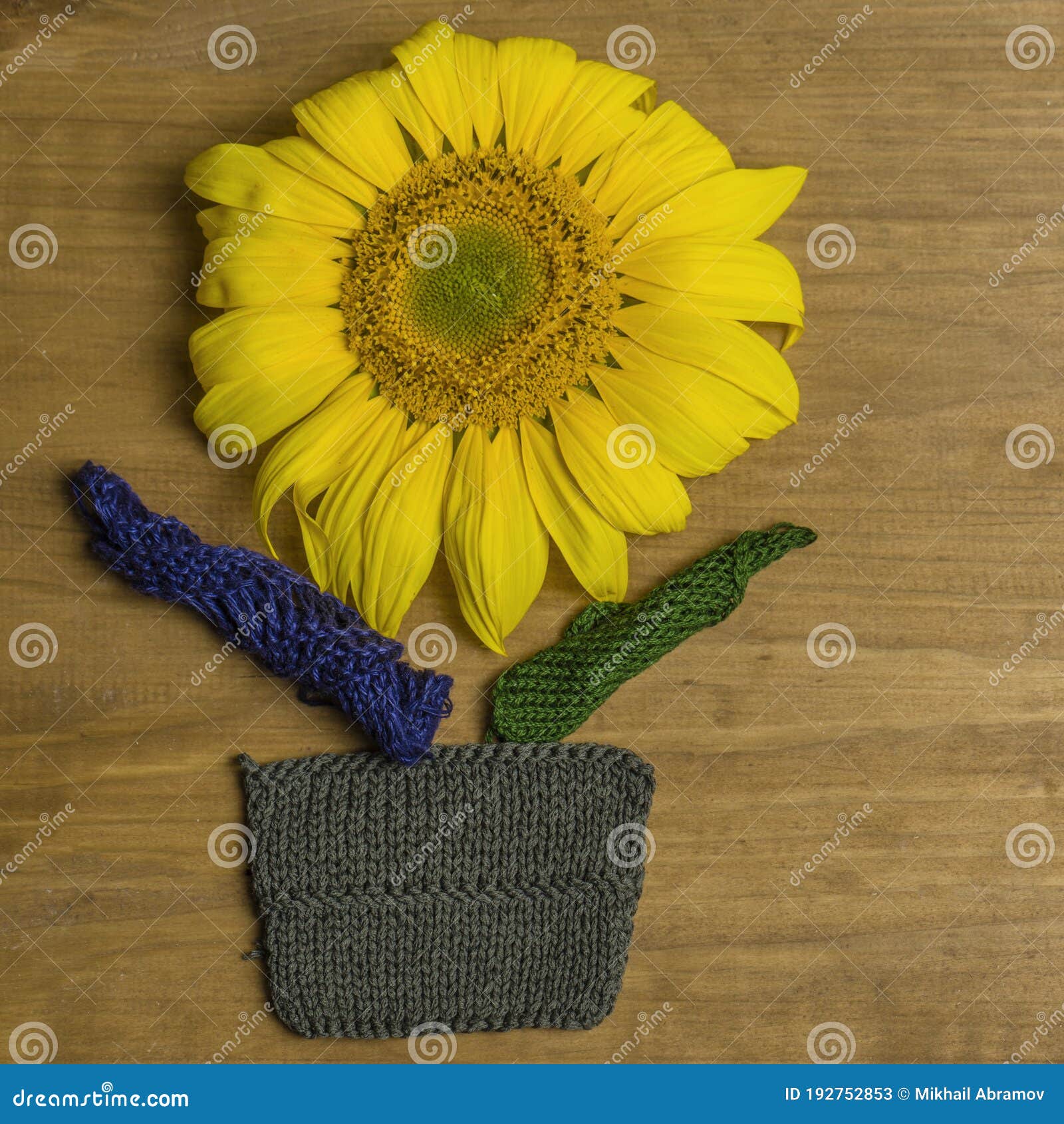 Sunflowers Knit Fabric