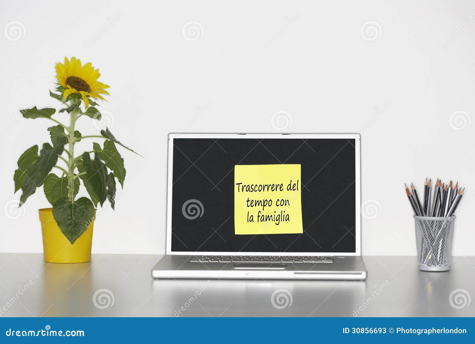sunflower plant on desk and sticky notepaper with italian text on laptop screen saying trascorrere del tempo con la famiglia