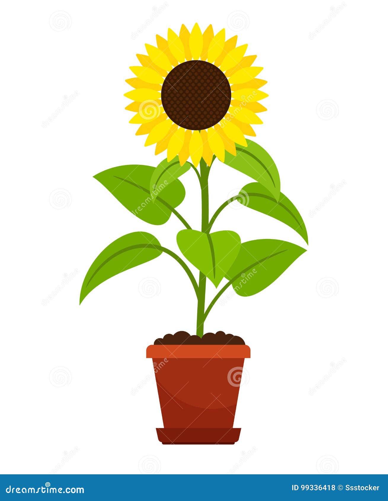 Download A Sunflower Plant In A Pot Cartoon Vector | CartoonDealer ...