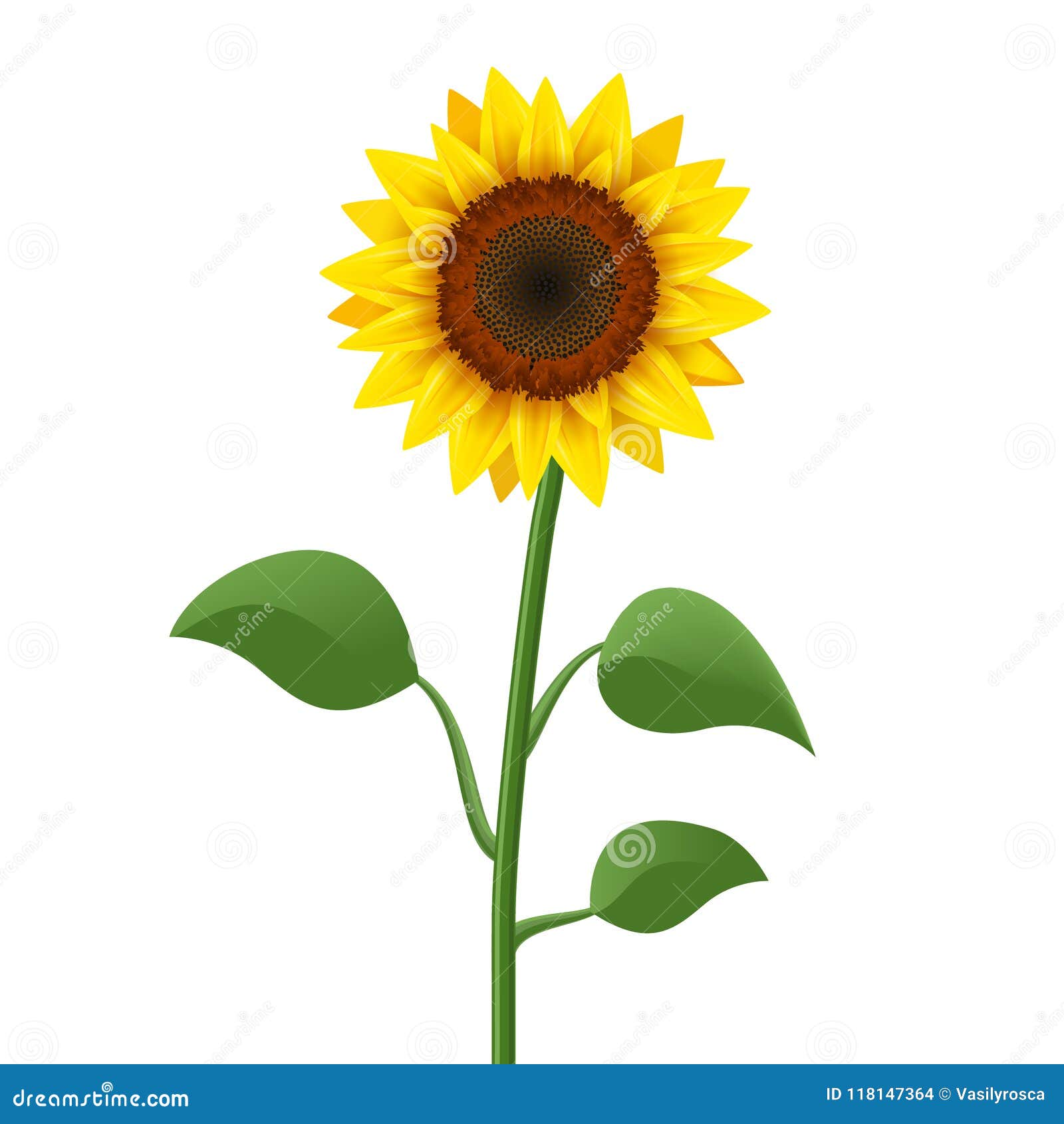 Free Free 161 Realistic Sunflower Svg SVG PNG EPS DXF File