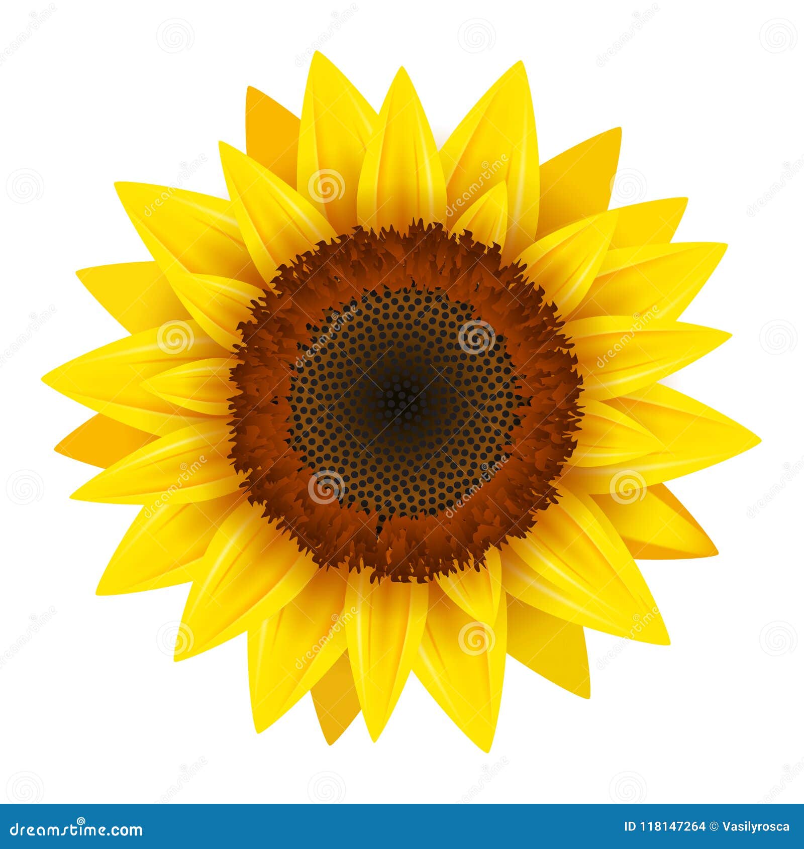 Free Free Realistic Sunflower Svg Free 360 SVG PNG EPS DXF File
