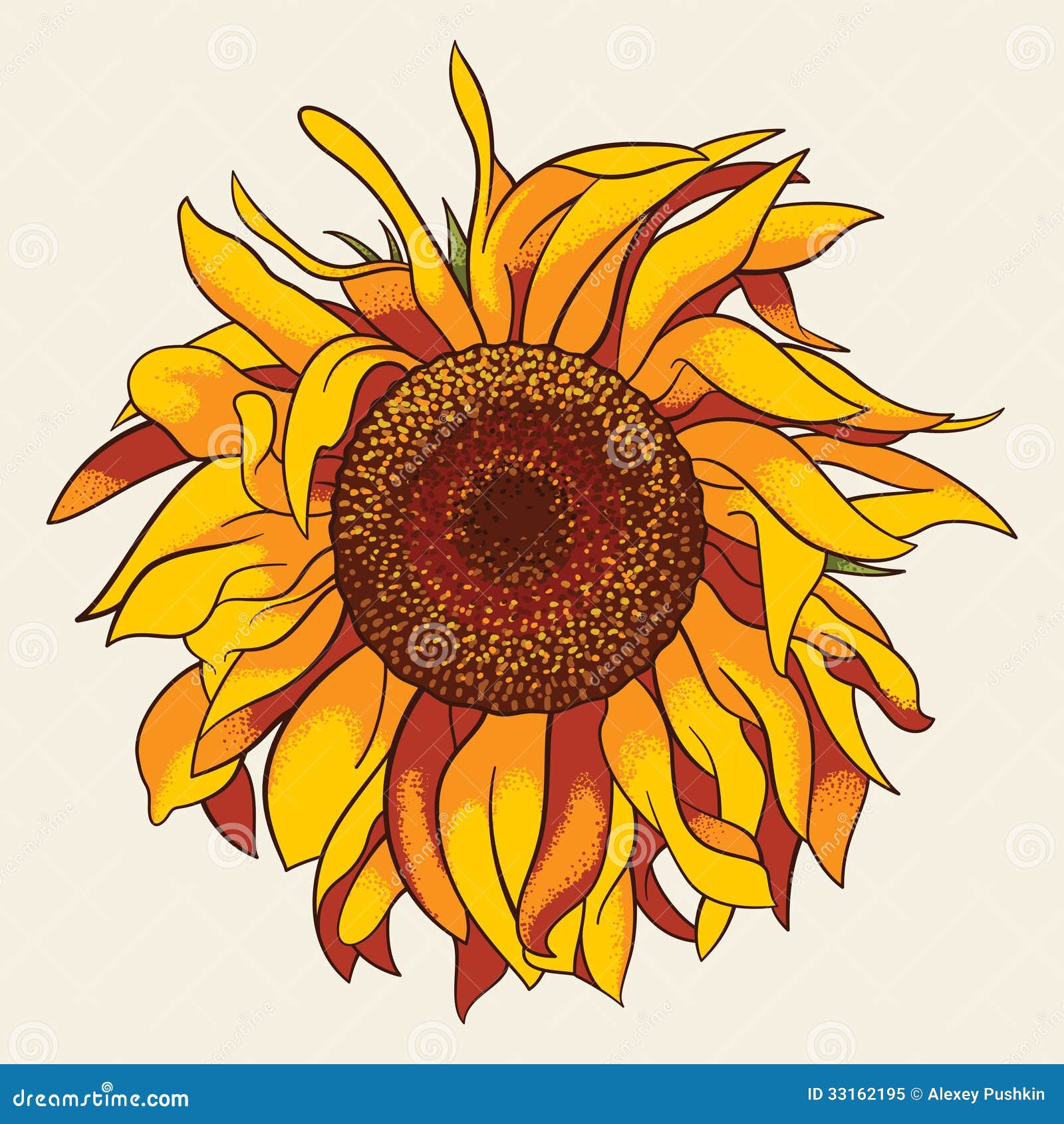 Sunflower Royalty Free Stock Photo - Image: 33162195