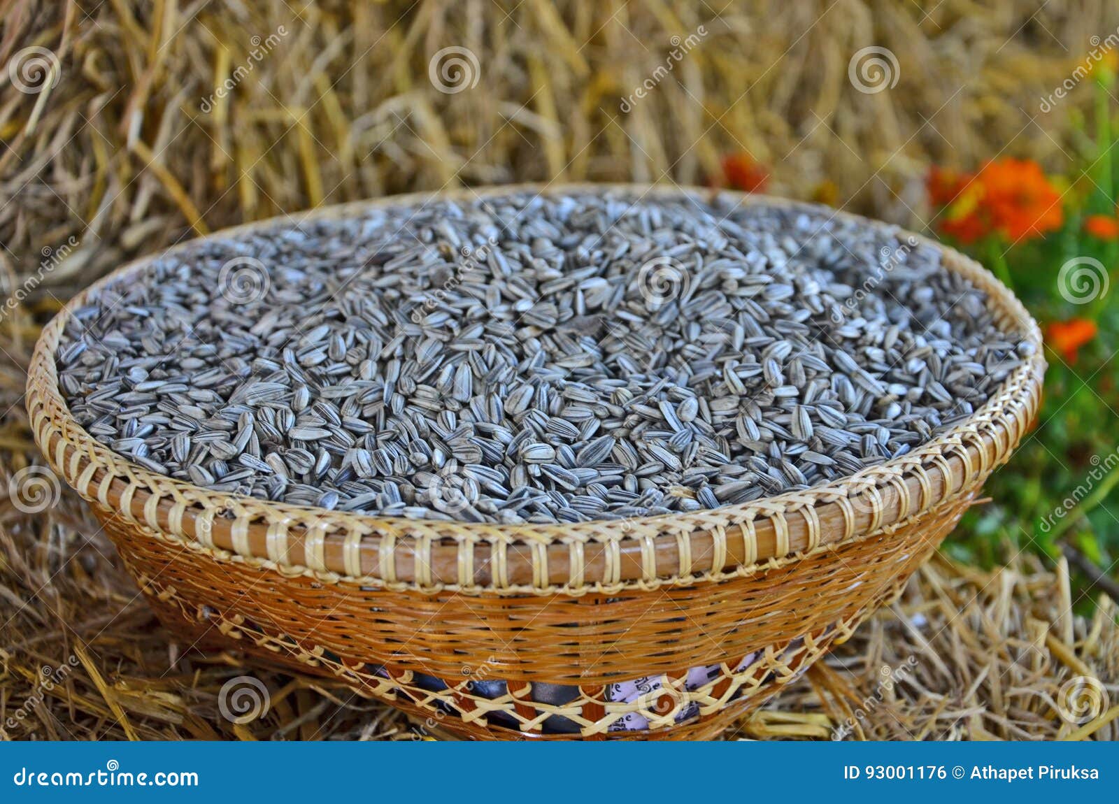 Sunflower seed basket stock photo. Image of spot, floor 93001176