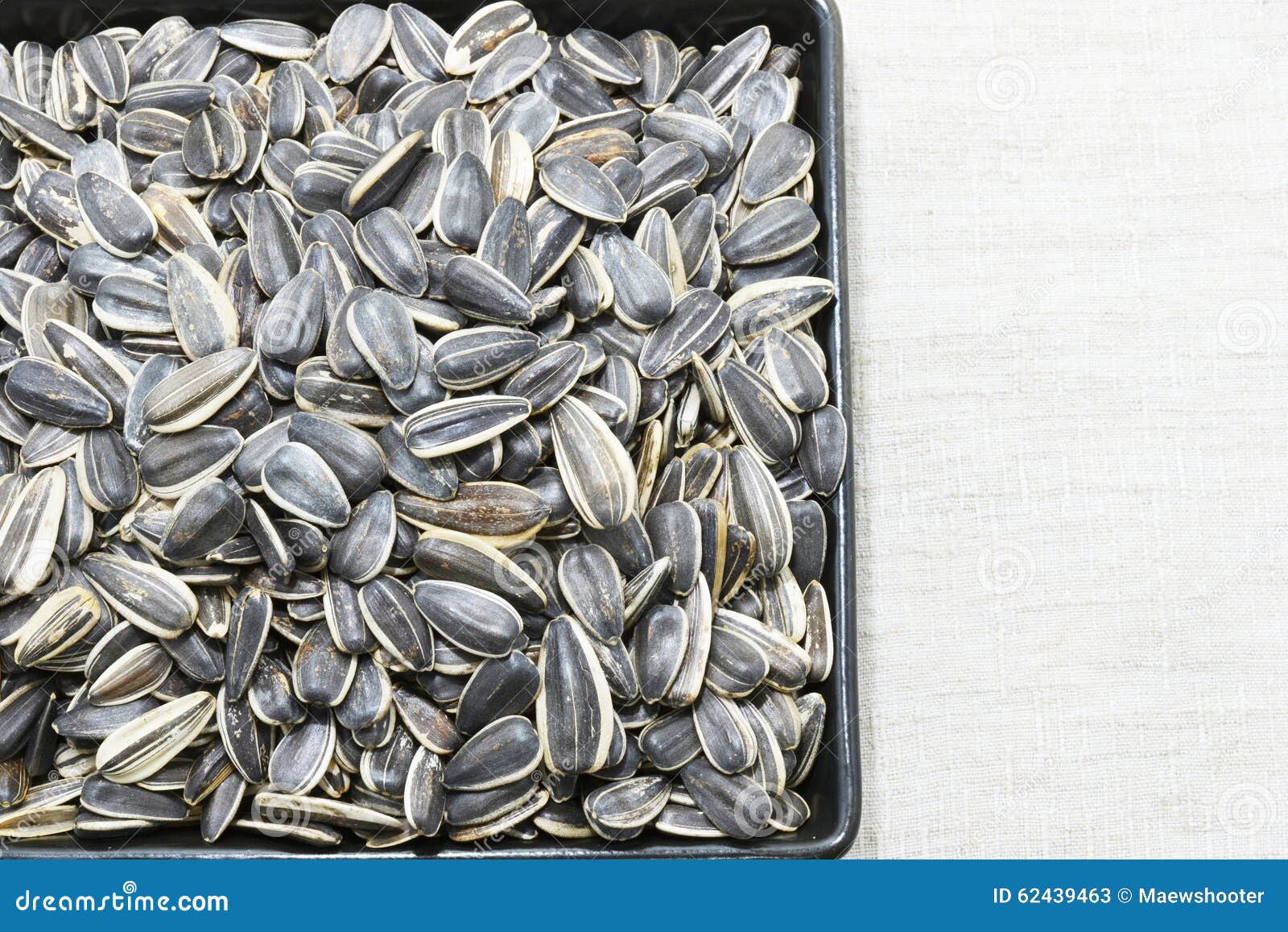 Sunflower seed stock image. Image of food, cooking, nature 62439463