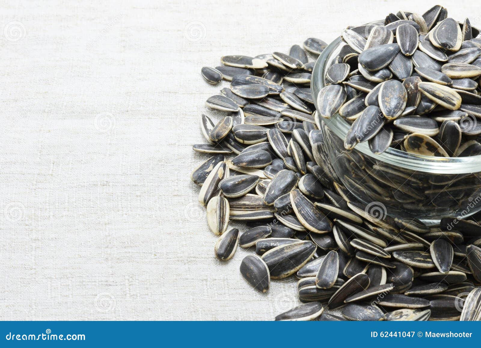 Sunflower seed stock image. Image of care, food, nature 62441047