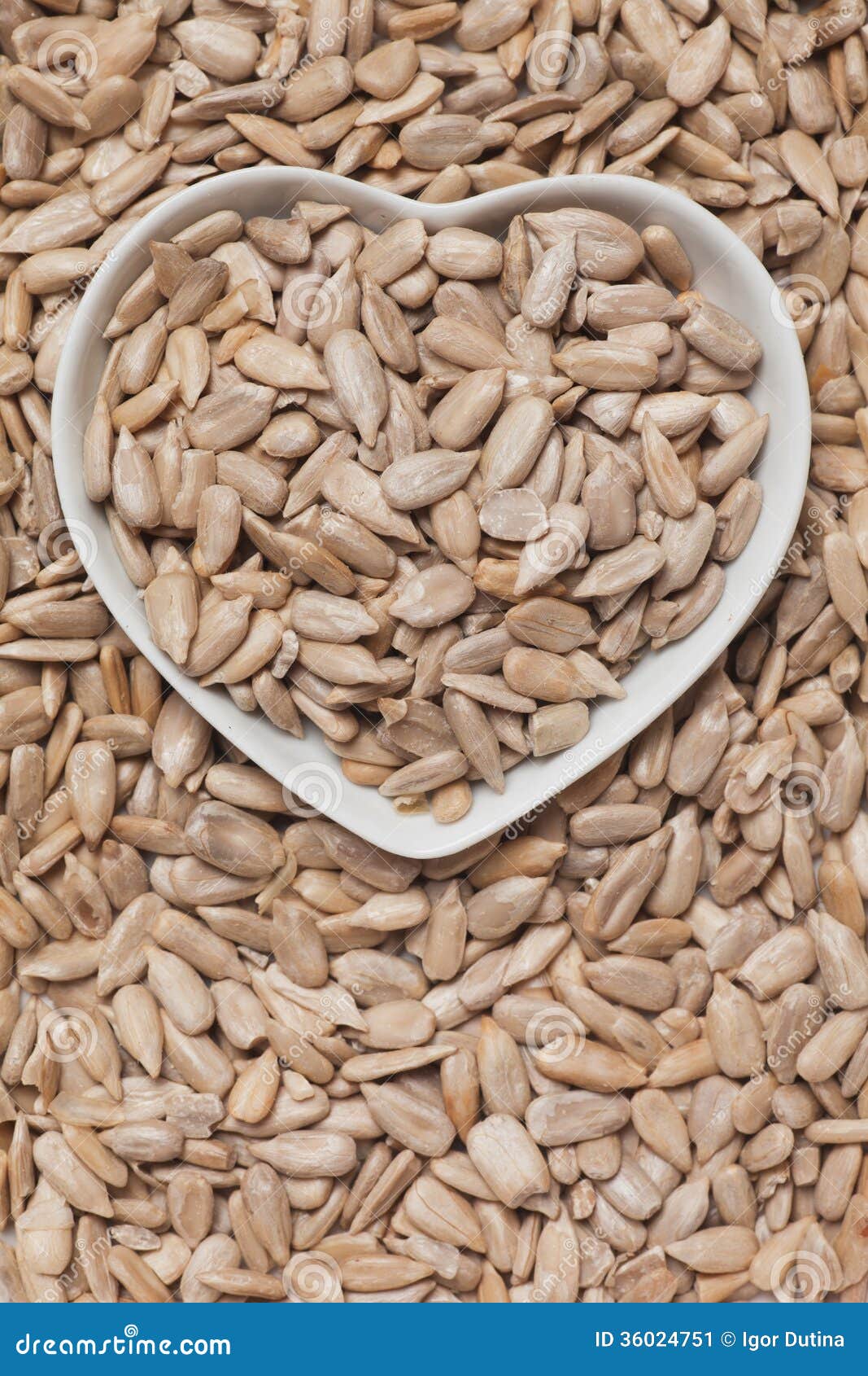 Sunflower seed stock image. Image of heart, vertical 36024751