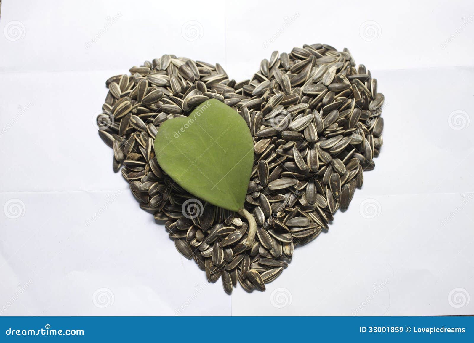 Sunflower Seed with Heart Shape Stock Image Image of heart, shape