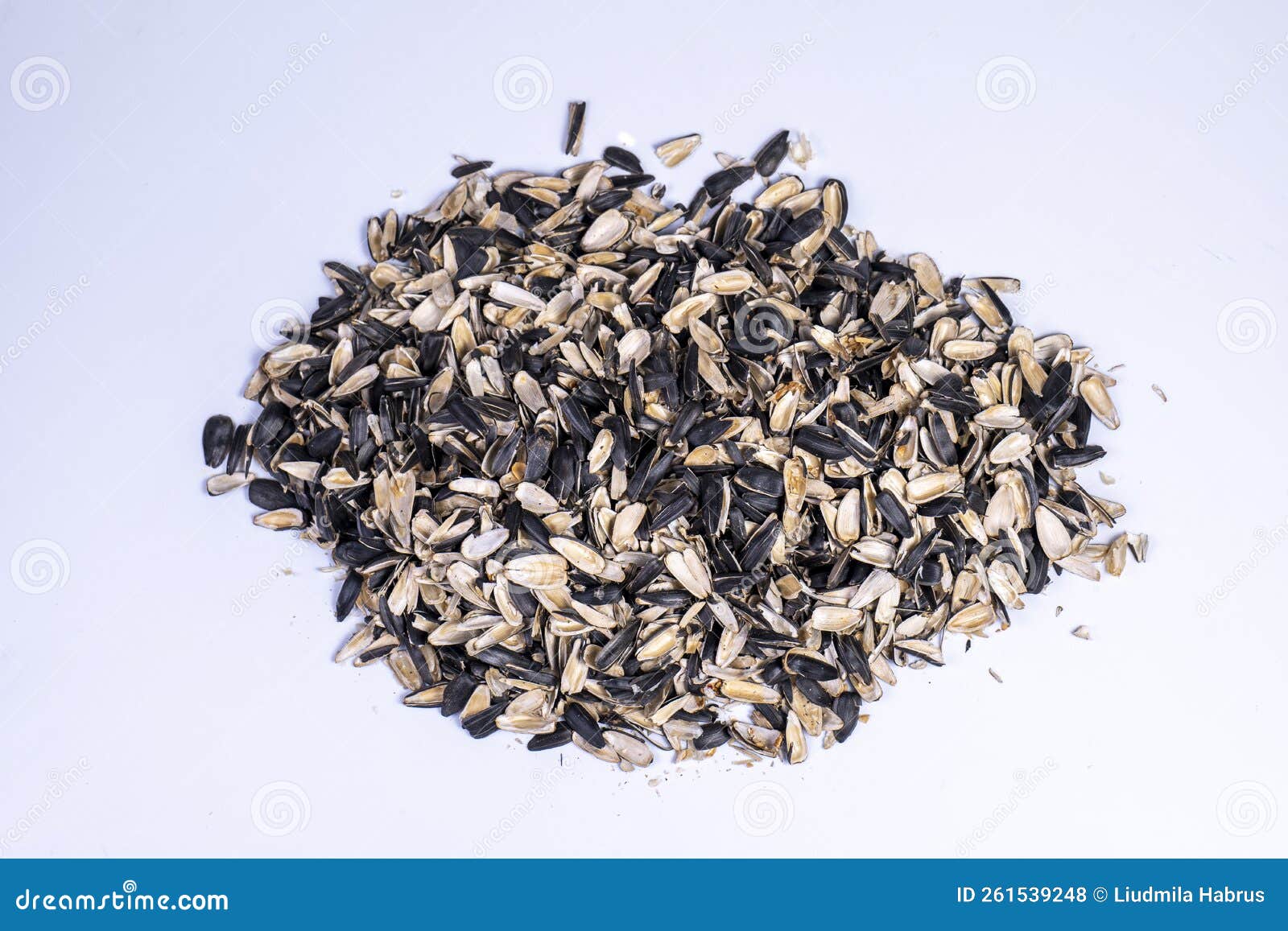 Sunflower Seed Husk Background Closeup Stock Photo Image of close