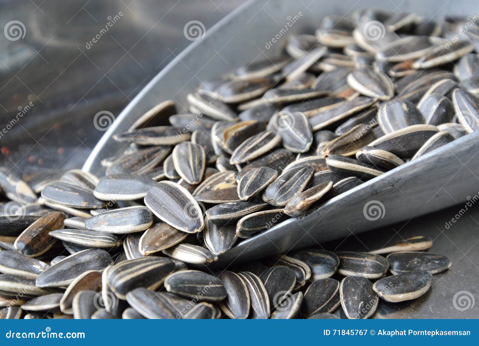 Sunflower Seed in Iron Scoop on Stainless Tray Stock Image Image of iron, sunflower 71845767