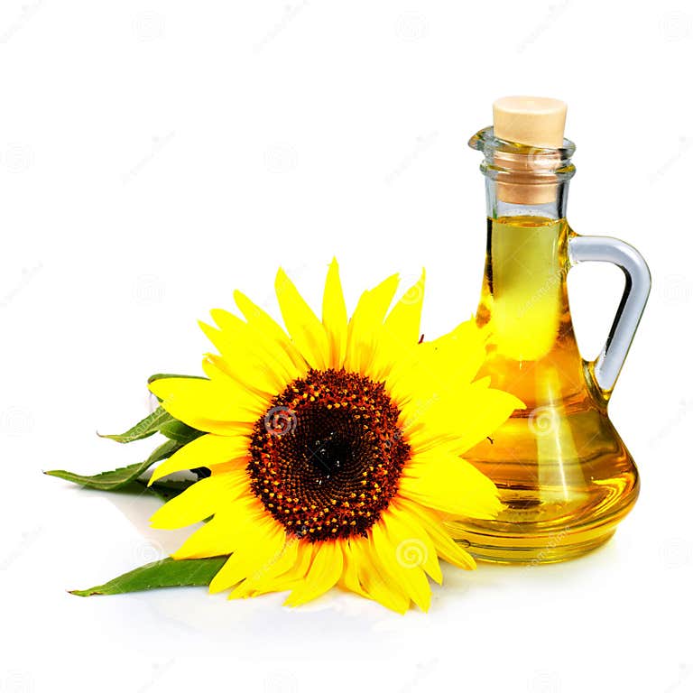 Sunflower seed oil stock photo. Image of background, petal 15640738