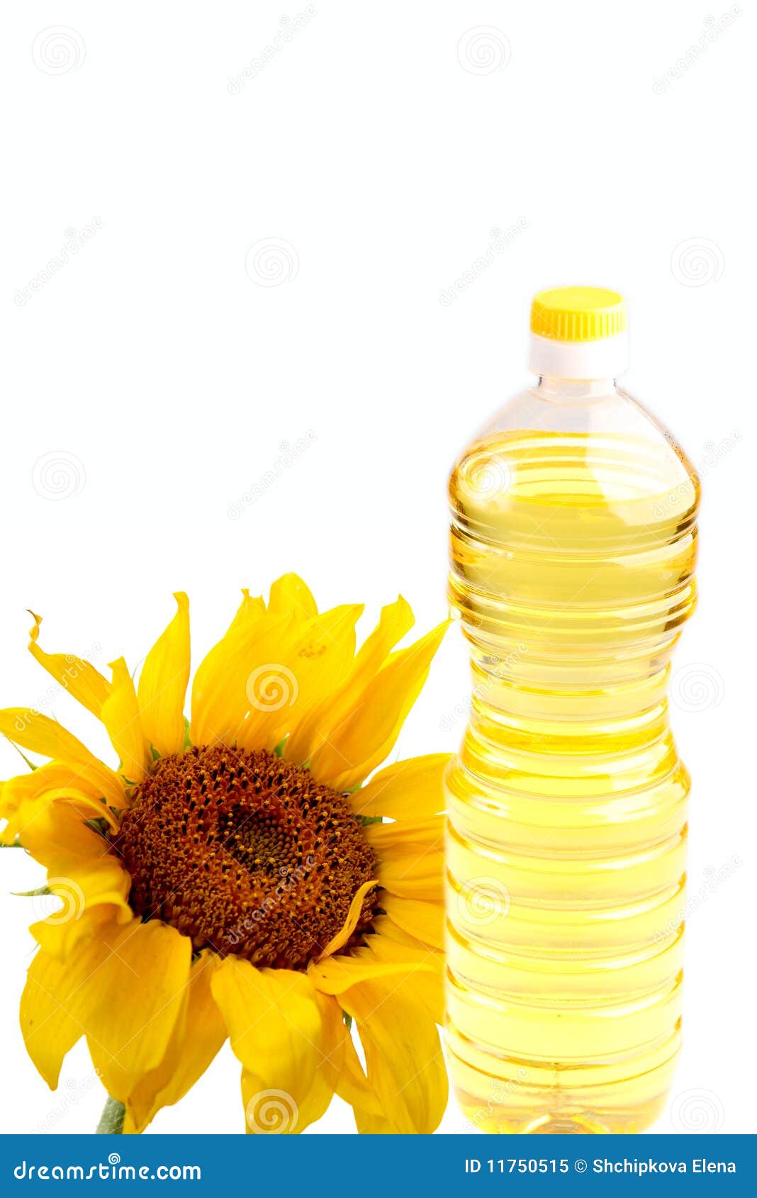 Sunflowerseed oil bottle stock image. Image of close 11750515