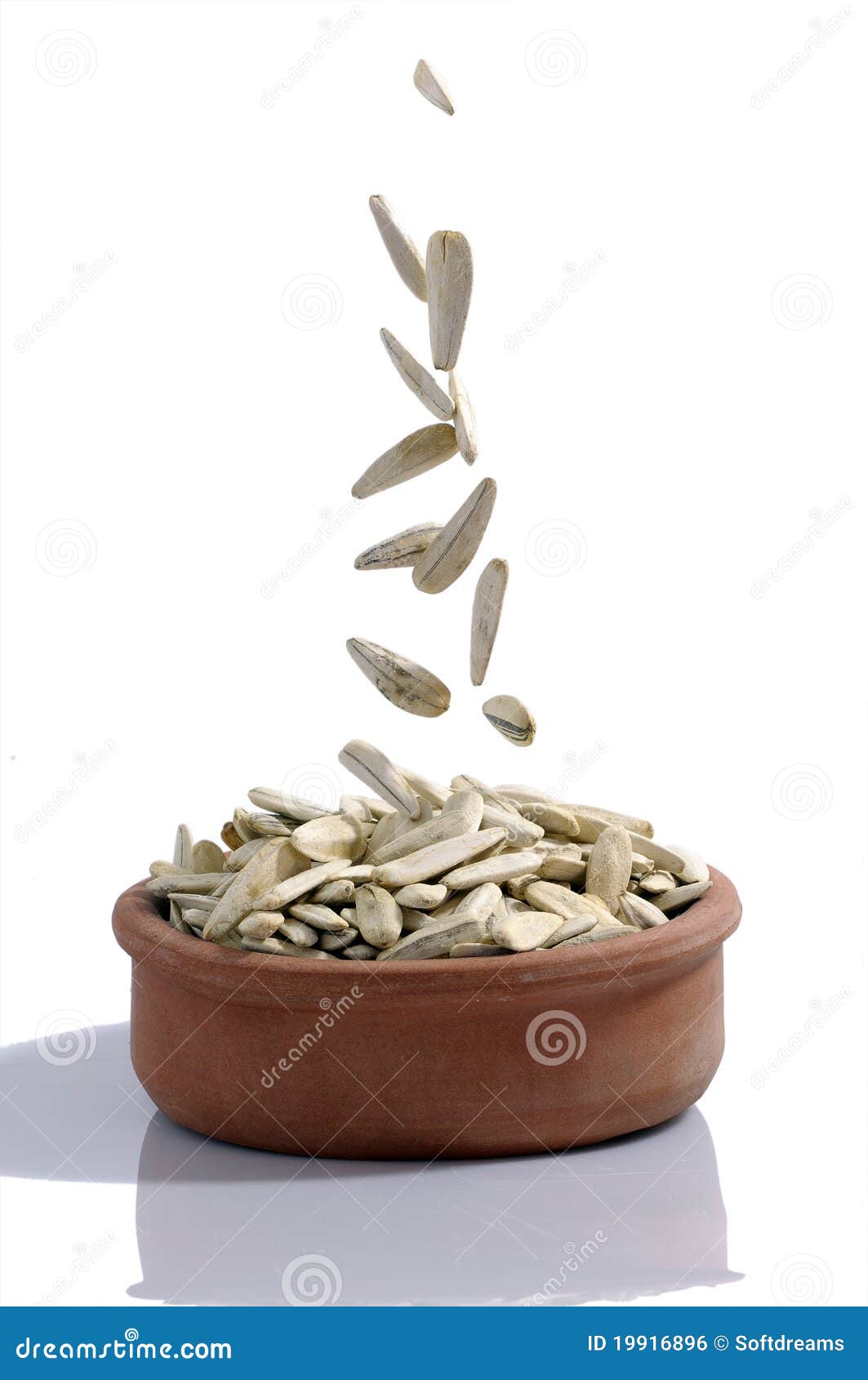 Sunflower seeds stock photo. Image of nuts, closeup, background 19916896