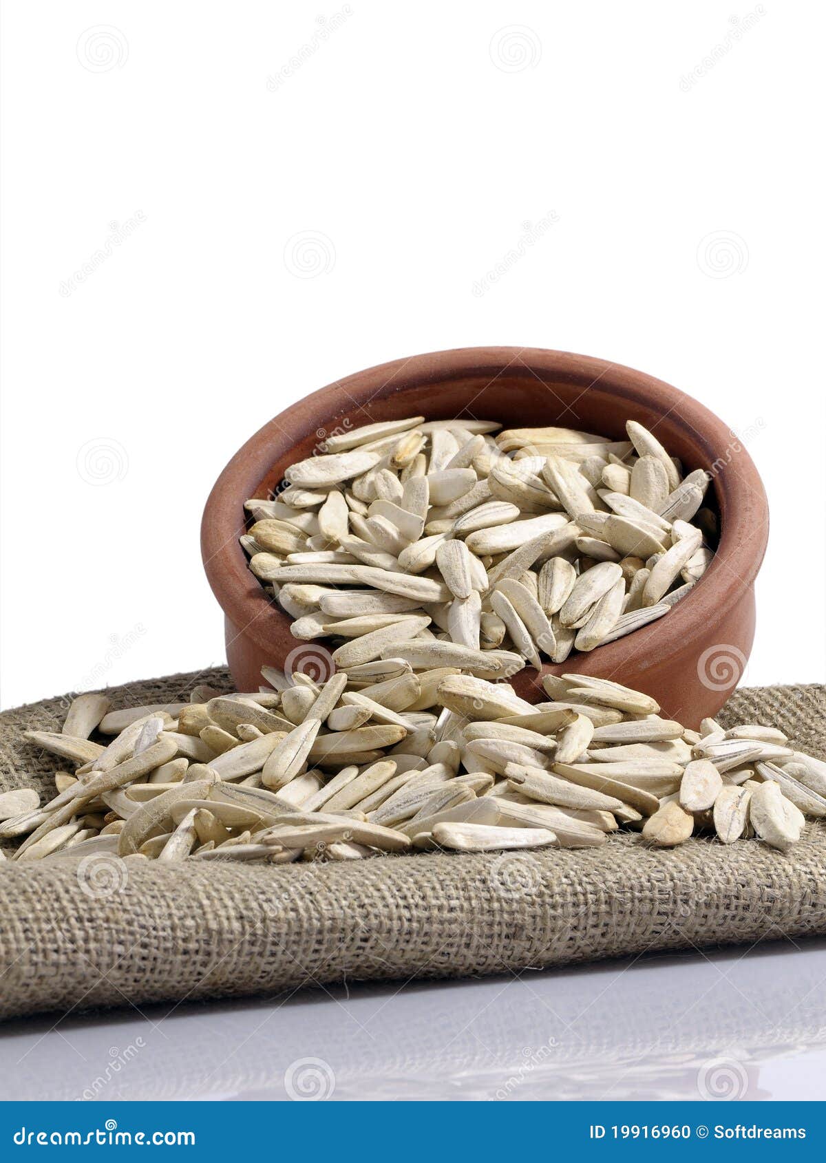 Sunflower seeds stock photo. Image of monounsaturated 19916960