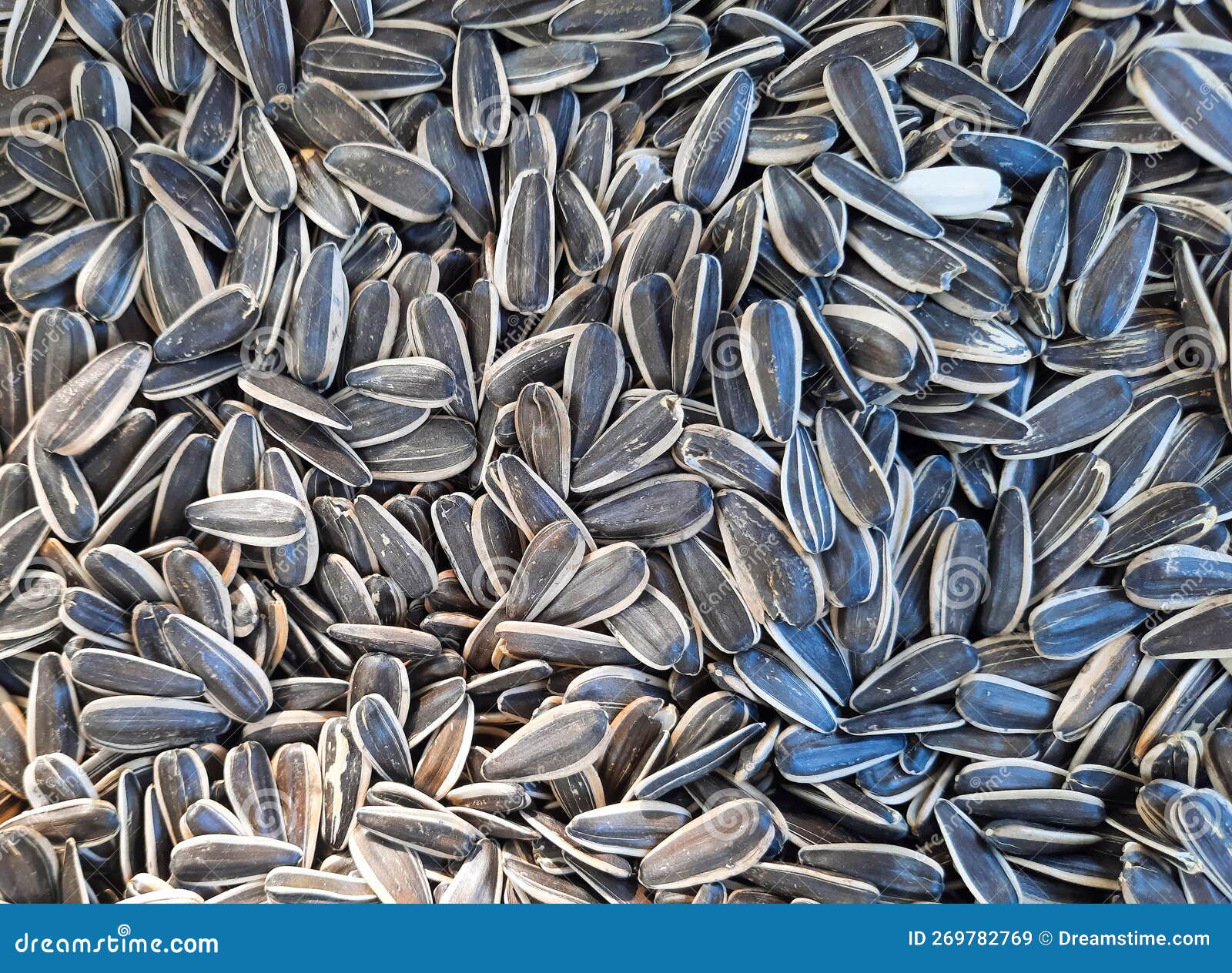 Sunflower Seeds Background. Top View of Heap Sunflower Seeds Stock