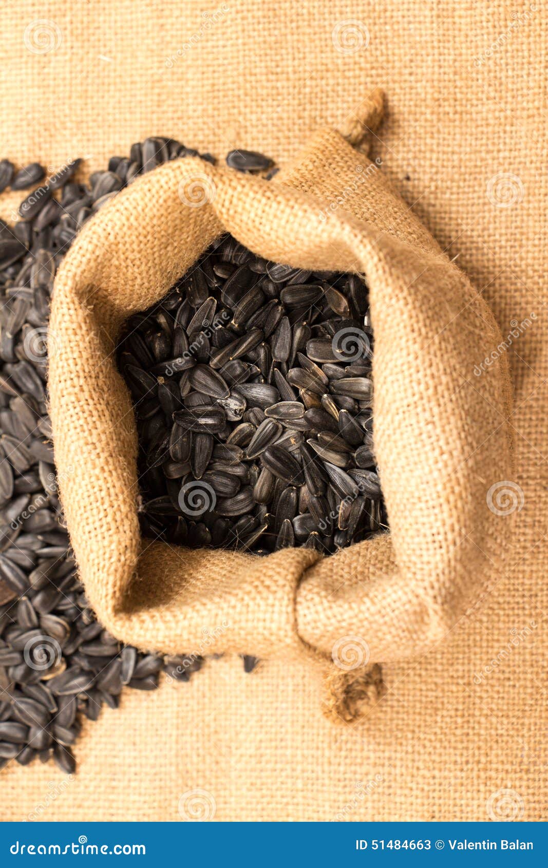Sunflower seeds in bag stock image. Image of sack, background 51484663