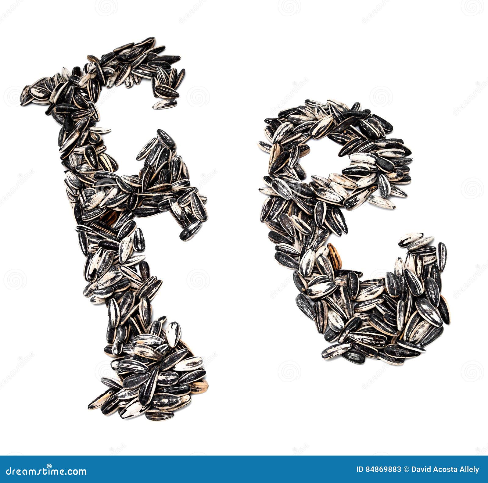 Sunflower seeds stock image. Image of seeds, seed, isolated 84869883
