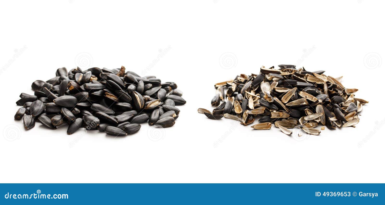 Sunflower seeds and husk stock image. Image of heap, background 49369653