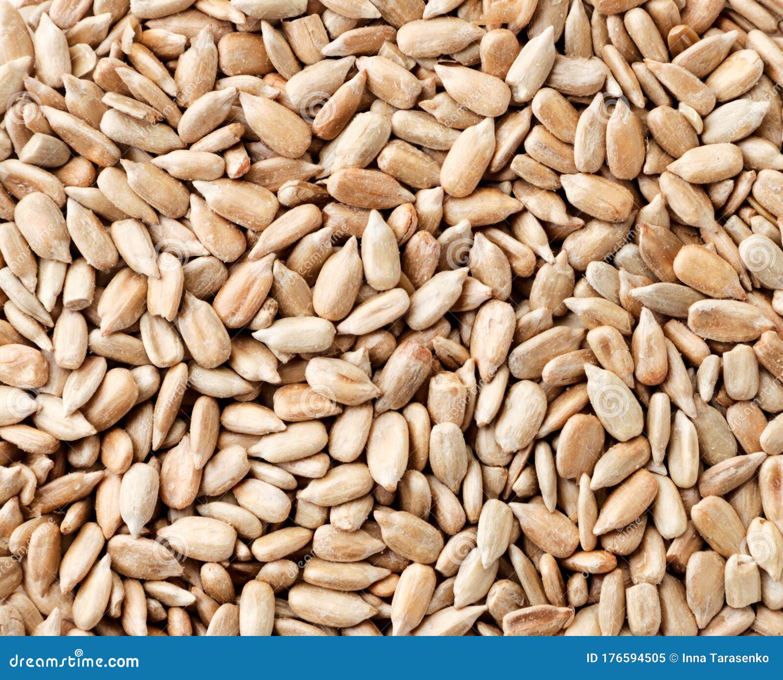 Sunflower Seeds Peeled Top View. Background of Sunflower Kernels Stock