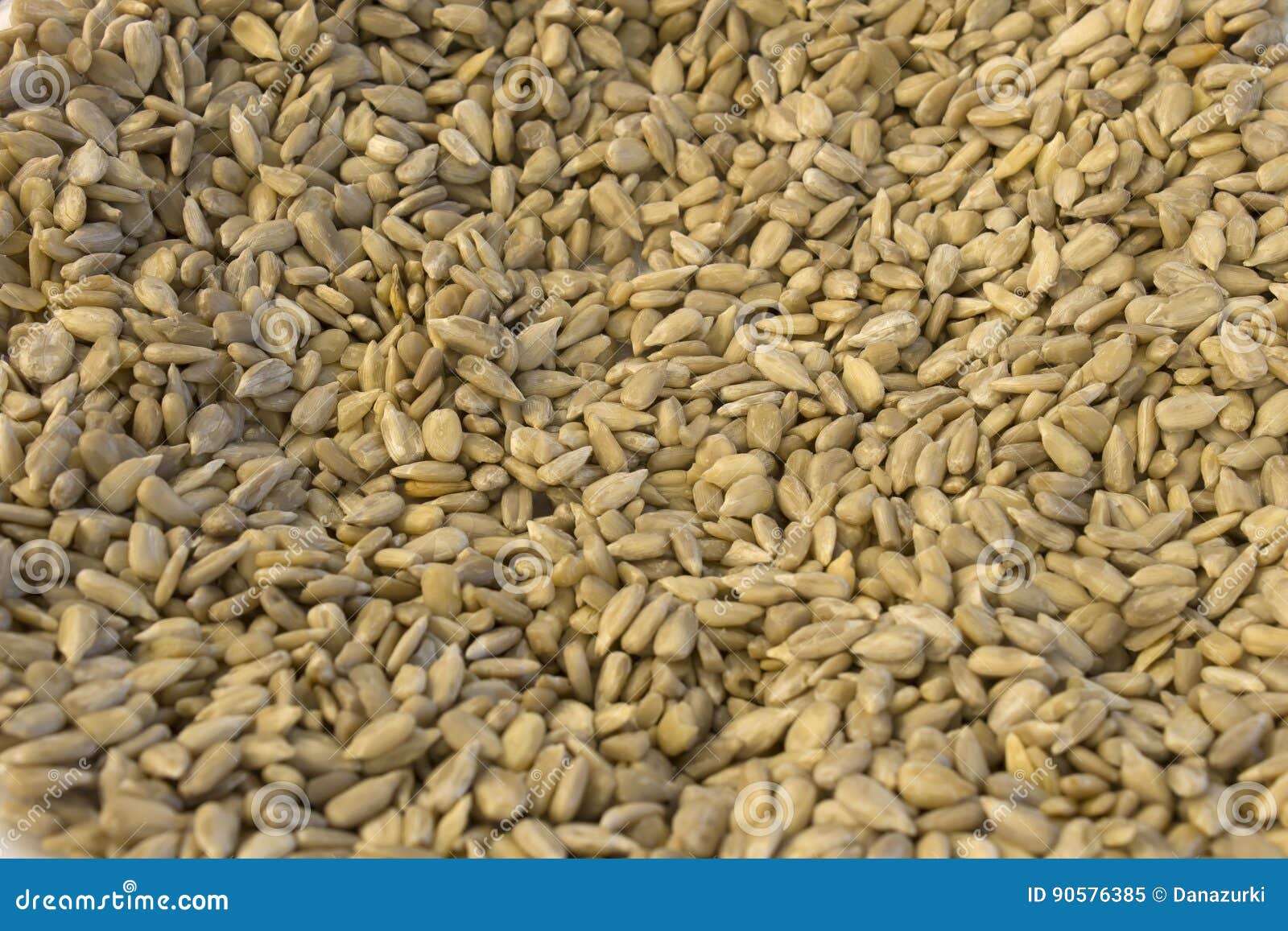 Sunflower Seeds stock image. Image of natural, protein 90576385
