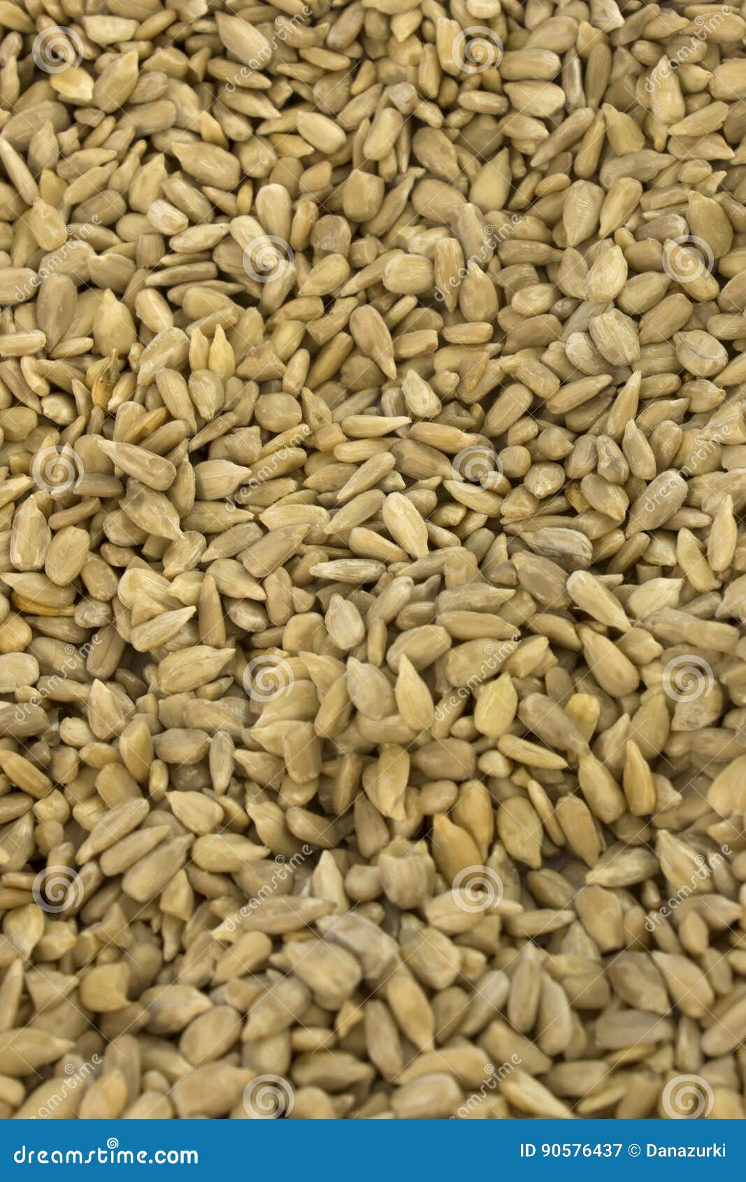 Sunflower Seeds stock image. Image of protein, healthy 90576437